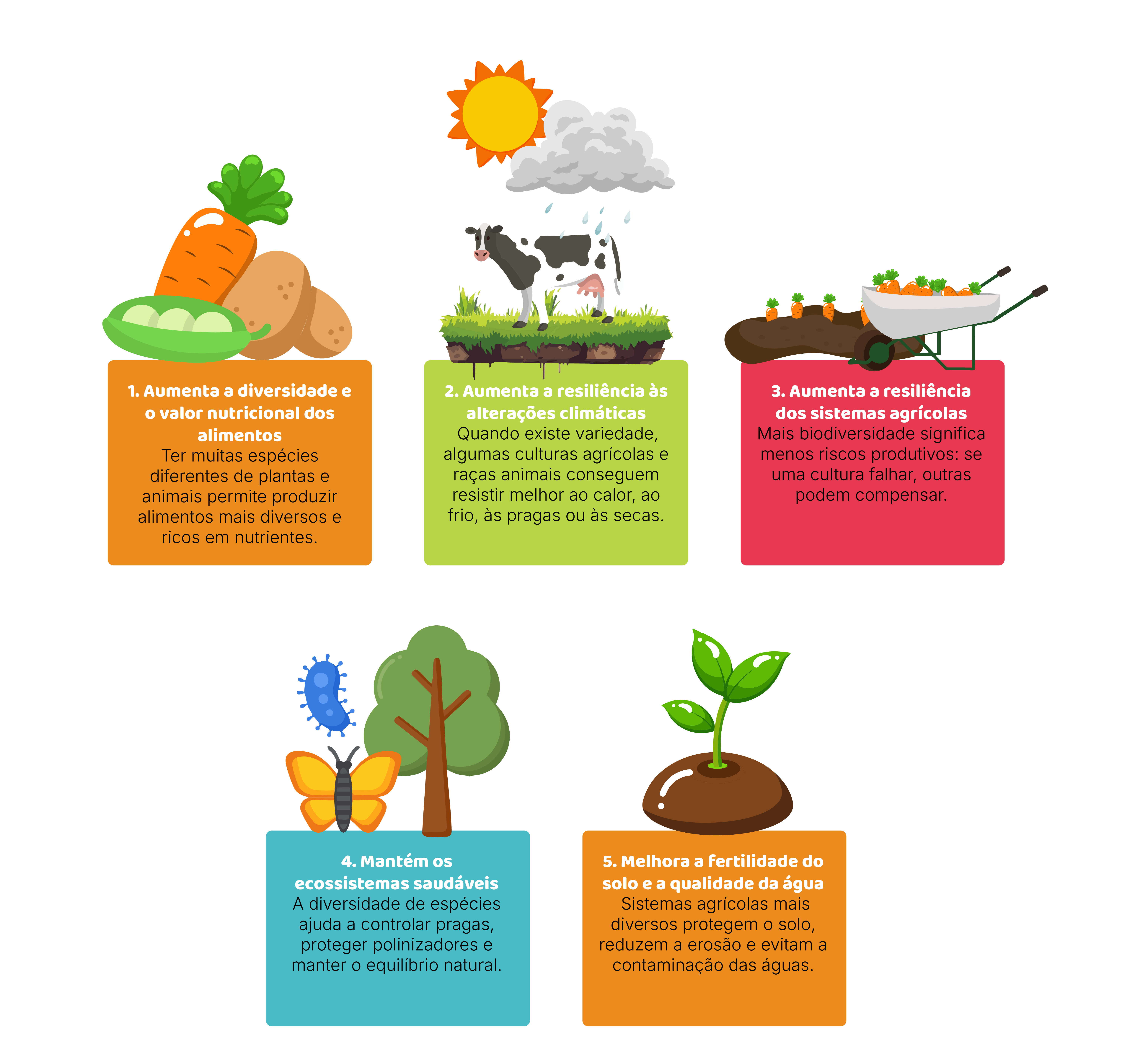 Biodiversidade agrícola e resiliência climática
