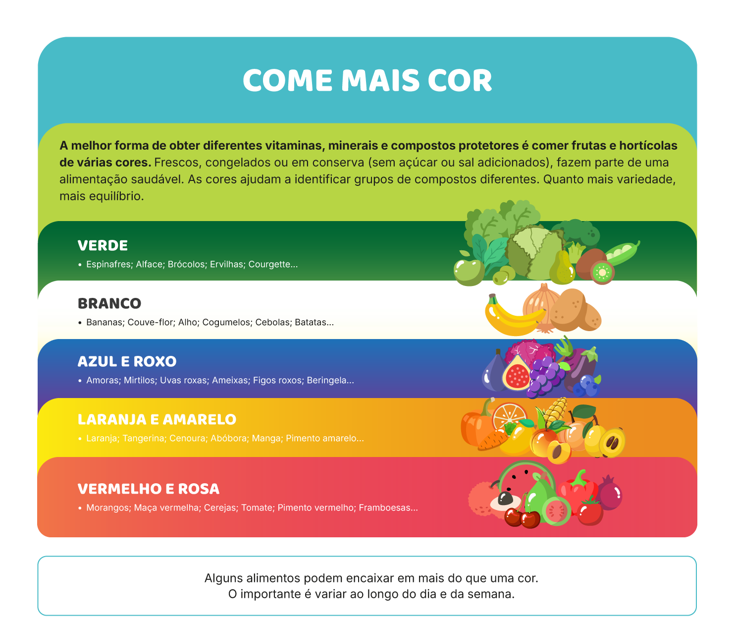 A lógica das cores e dos nutrientes