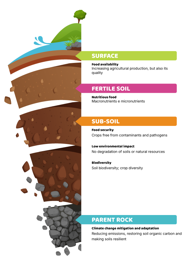How Soil Works