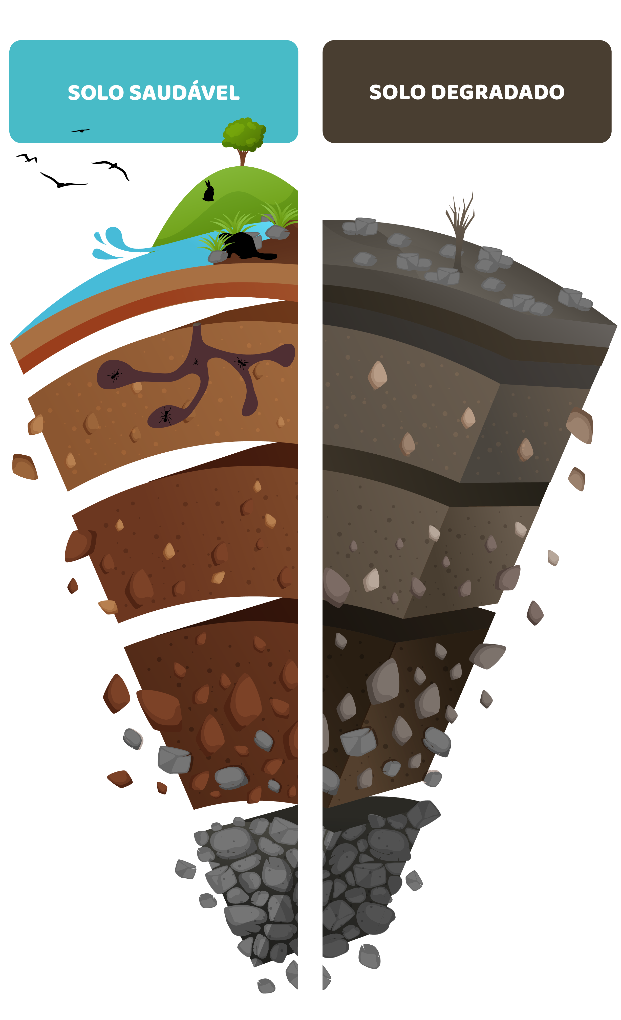 Pressões sobre os solos