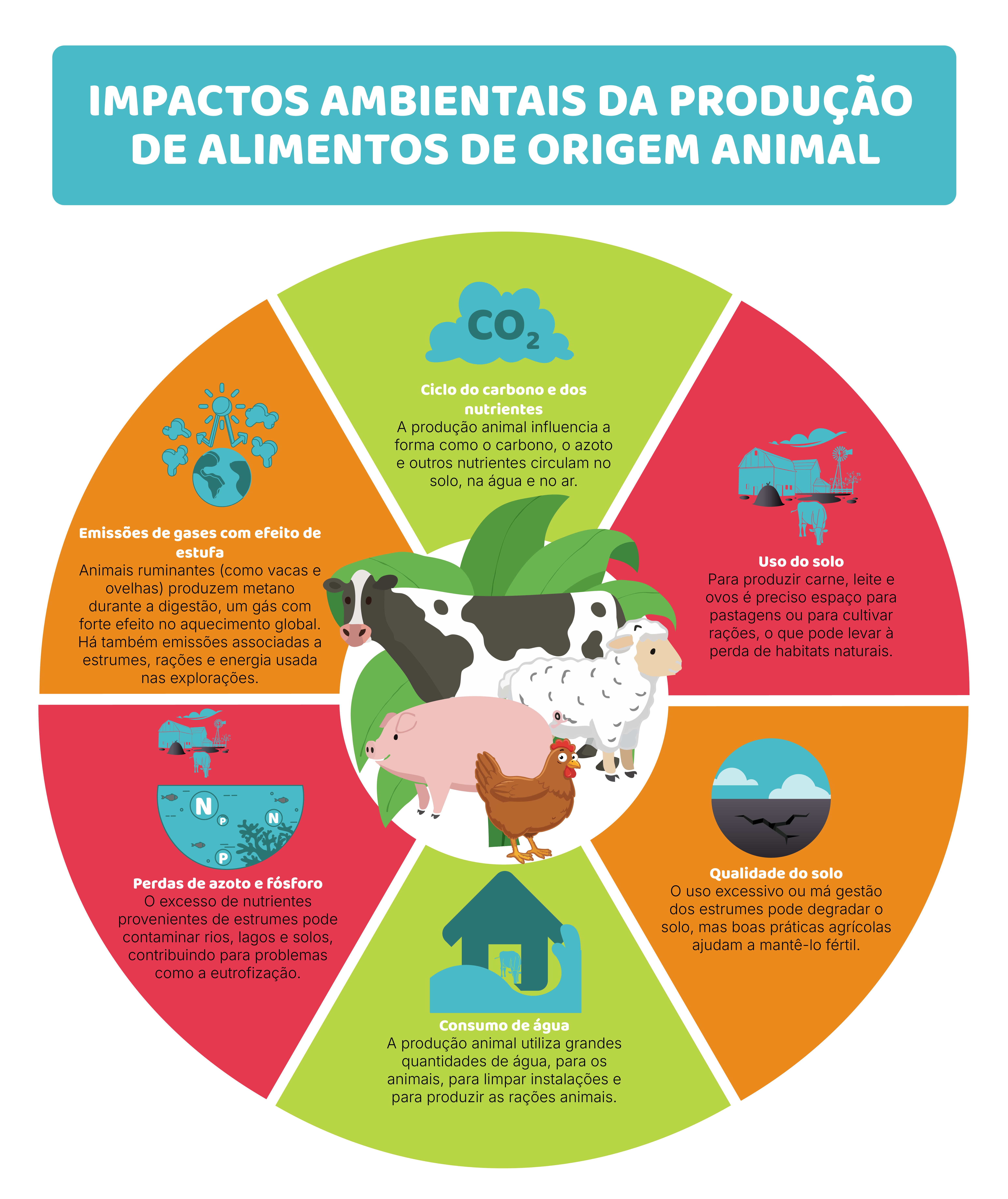 Impacto ambiental das fontes de proteína