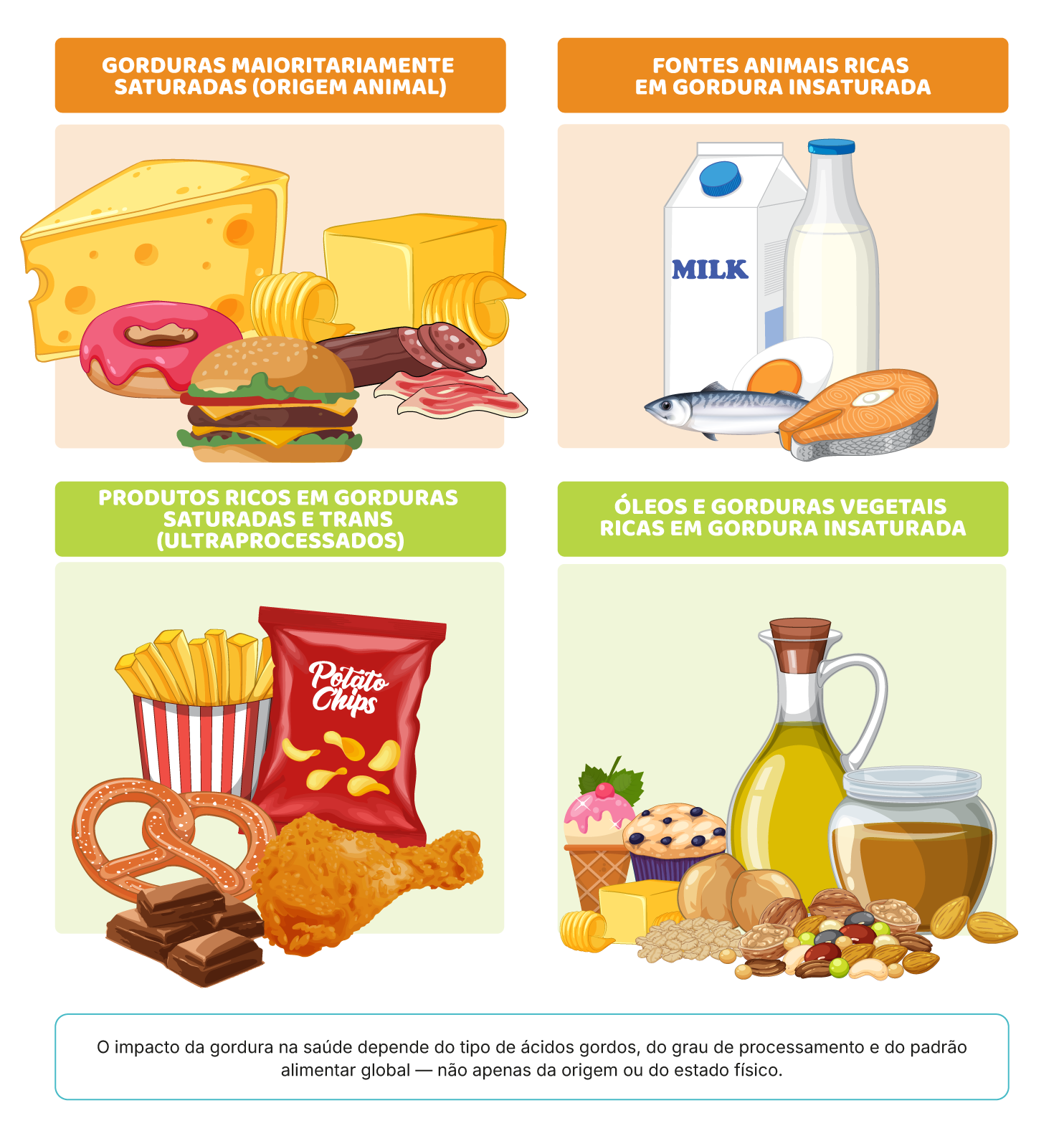 Funções da gordura no corpo