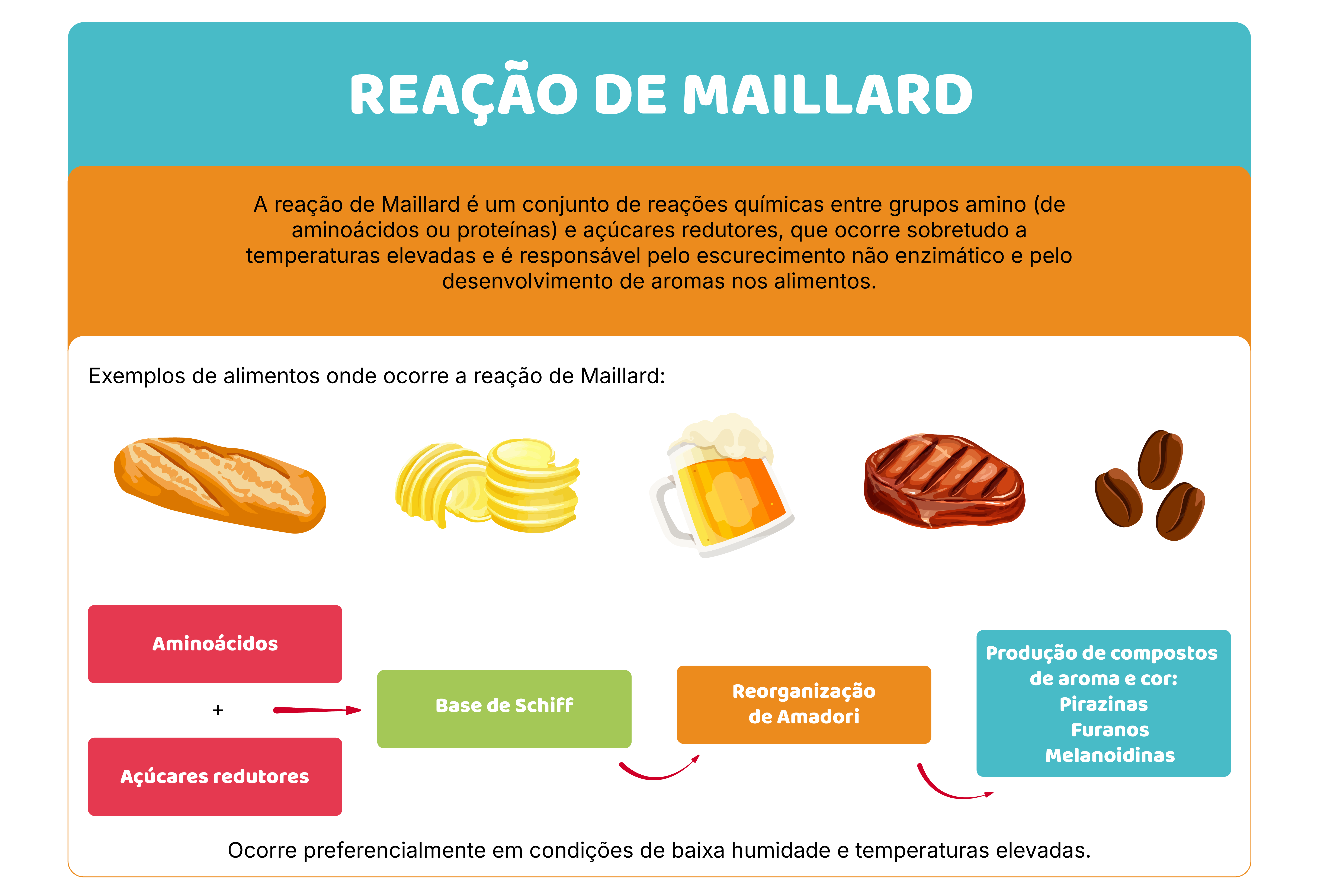 O que acontece aos alimentos quando cozinham?