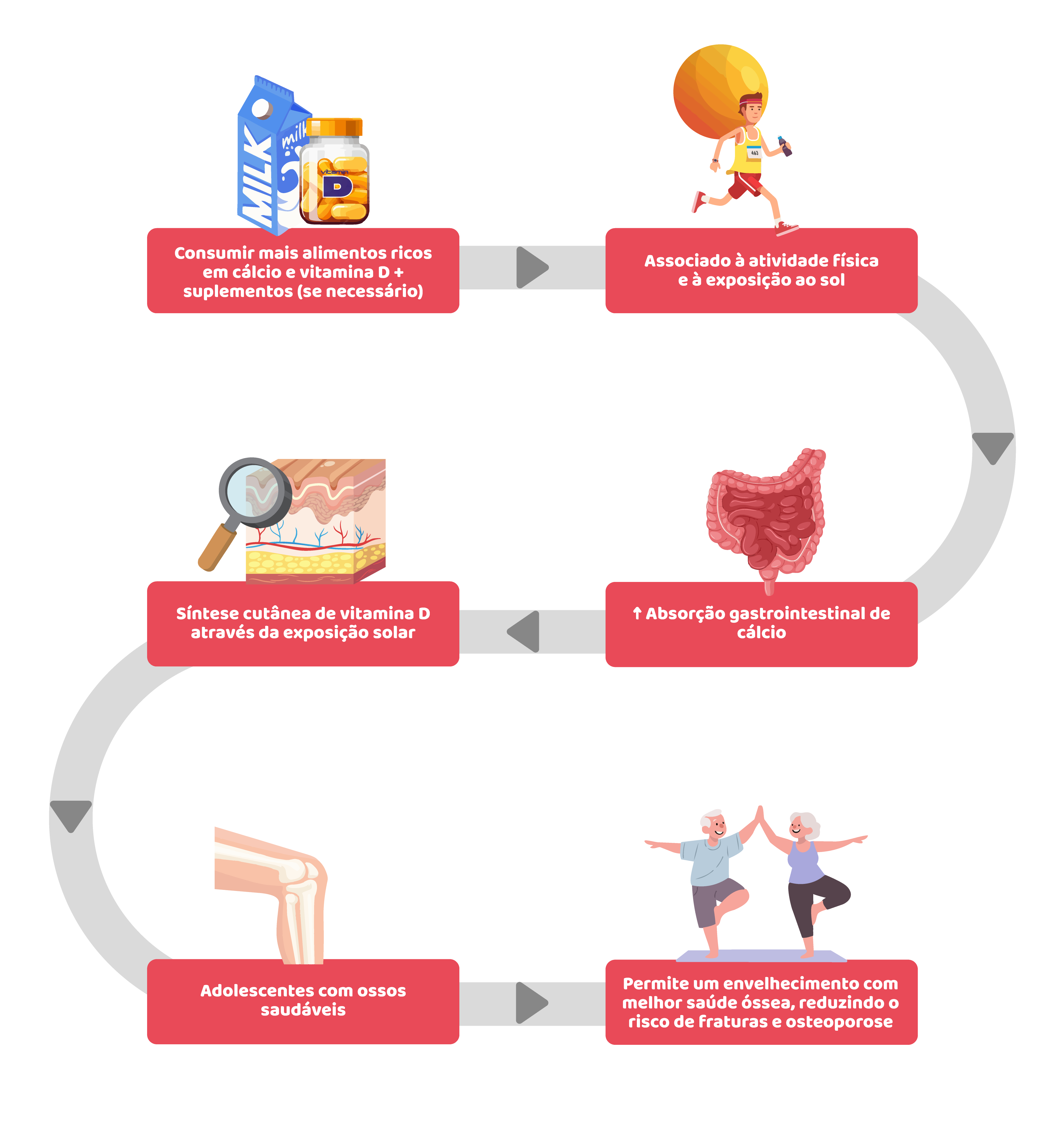 Saúde hormonal: alimentação que apoia estabilidade