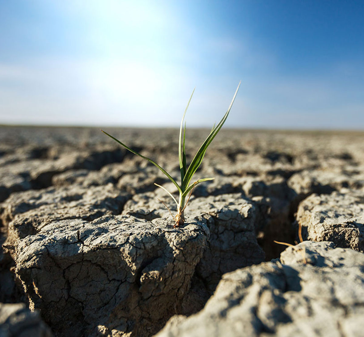 O que ameaça a biodiversidade agrícola?