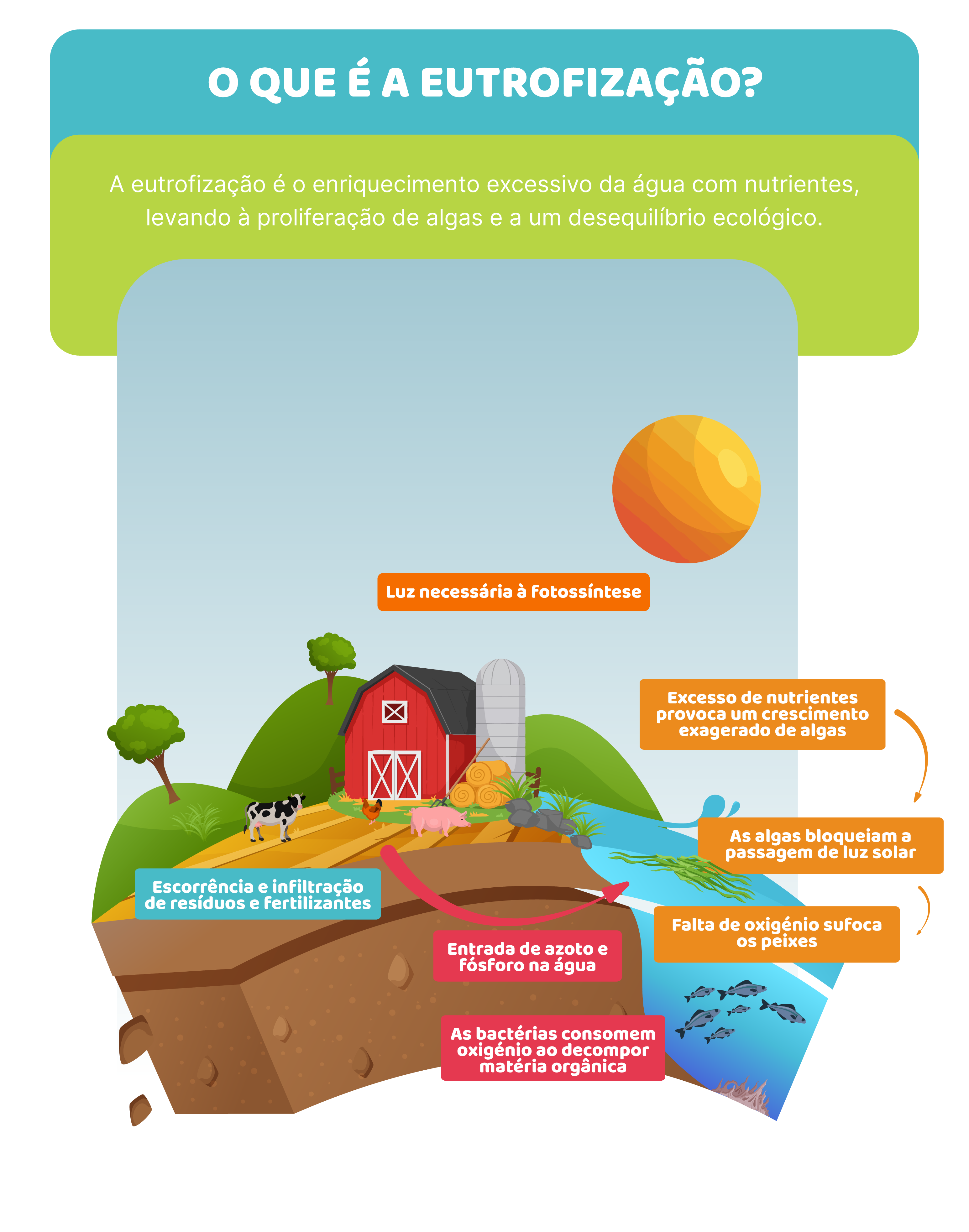 Ciclo do Azoto: fertilizantes, poluição e produtividade.