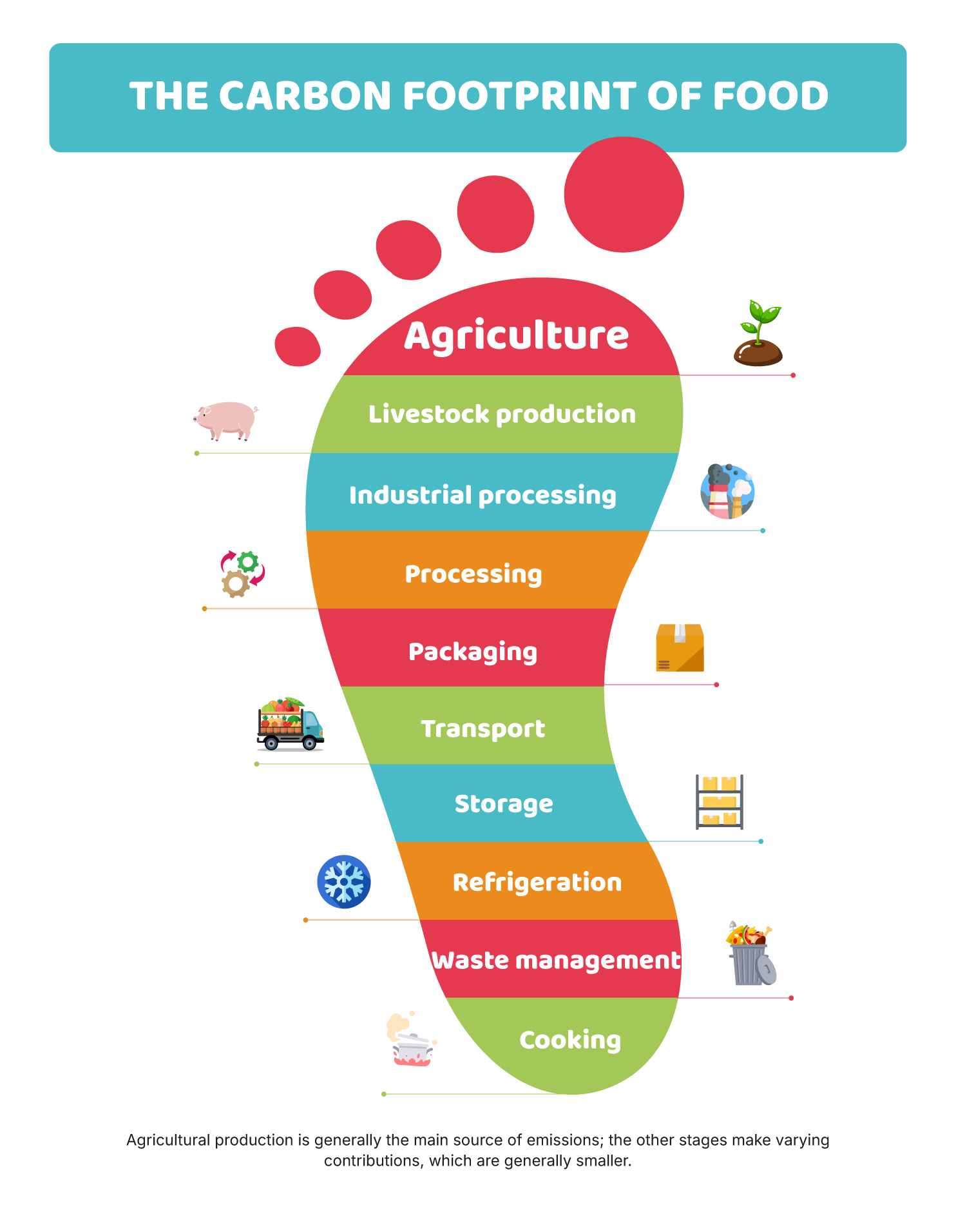 The Carbon Cycle: food, climate and soils