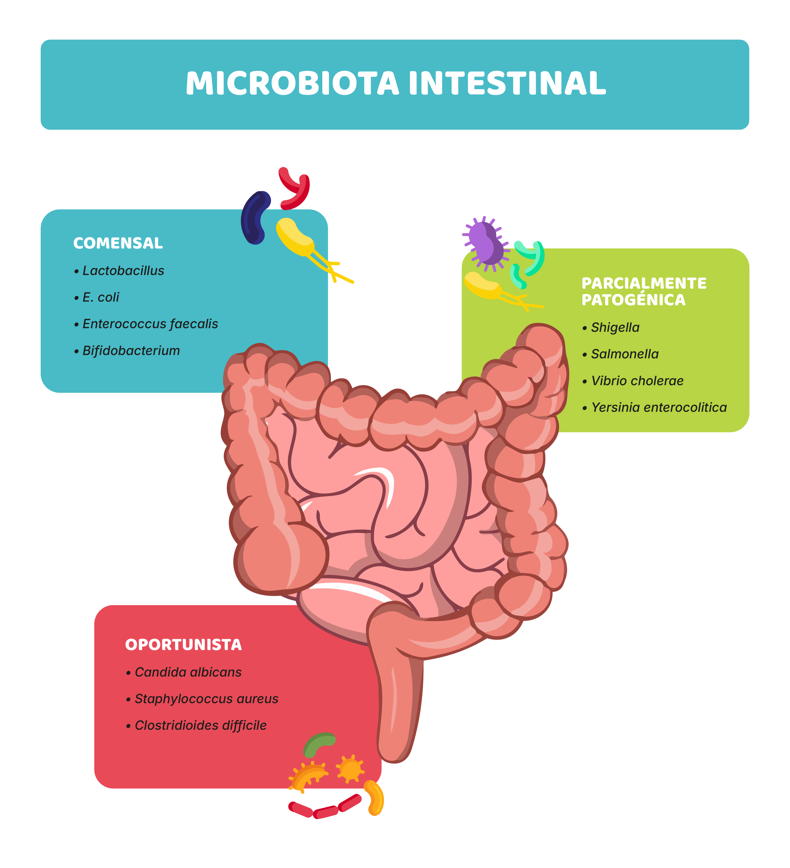 Variedade: o segredo mais importante