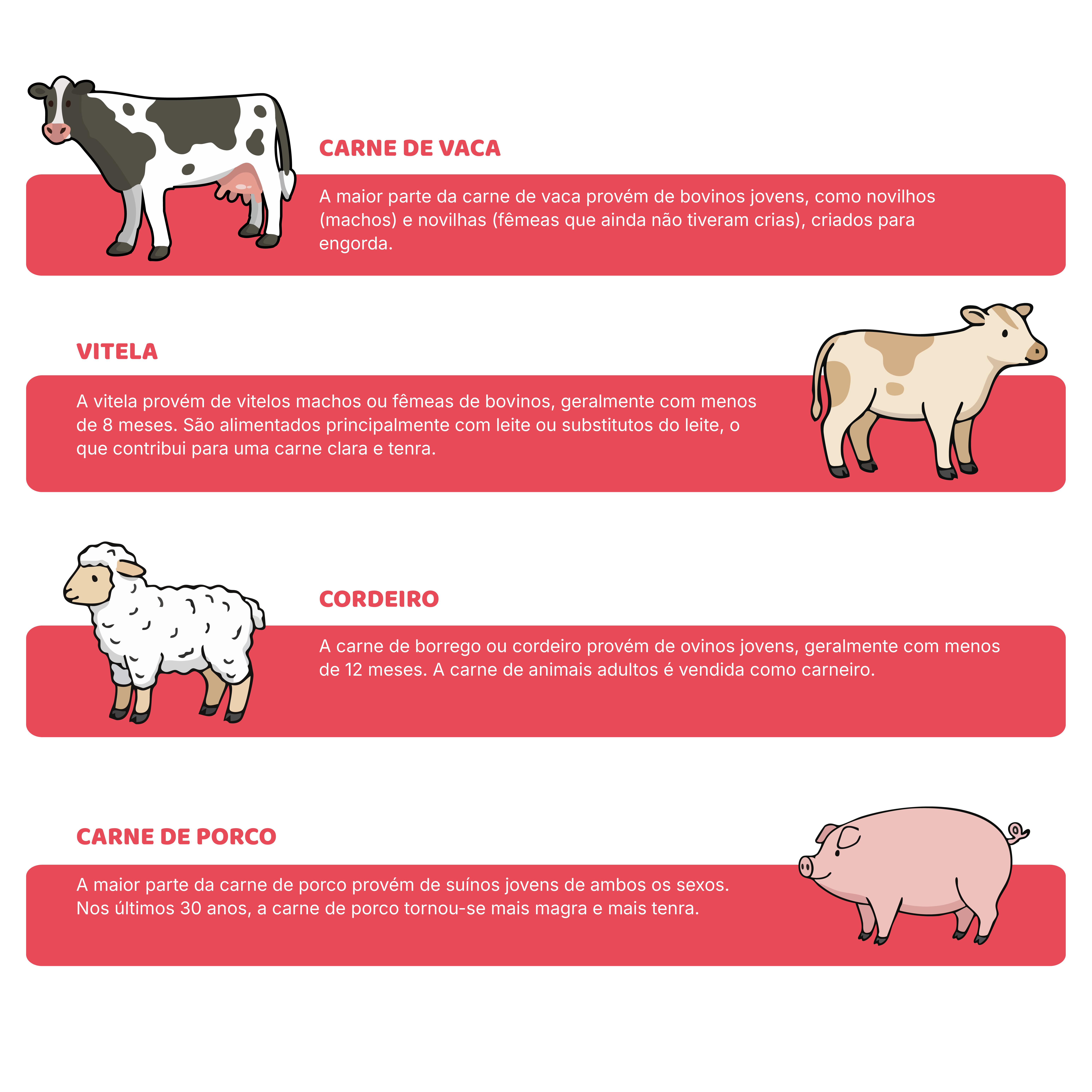 Como é criada a carne de vaca