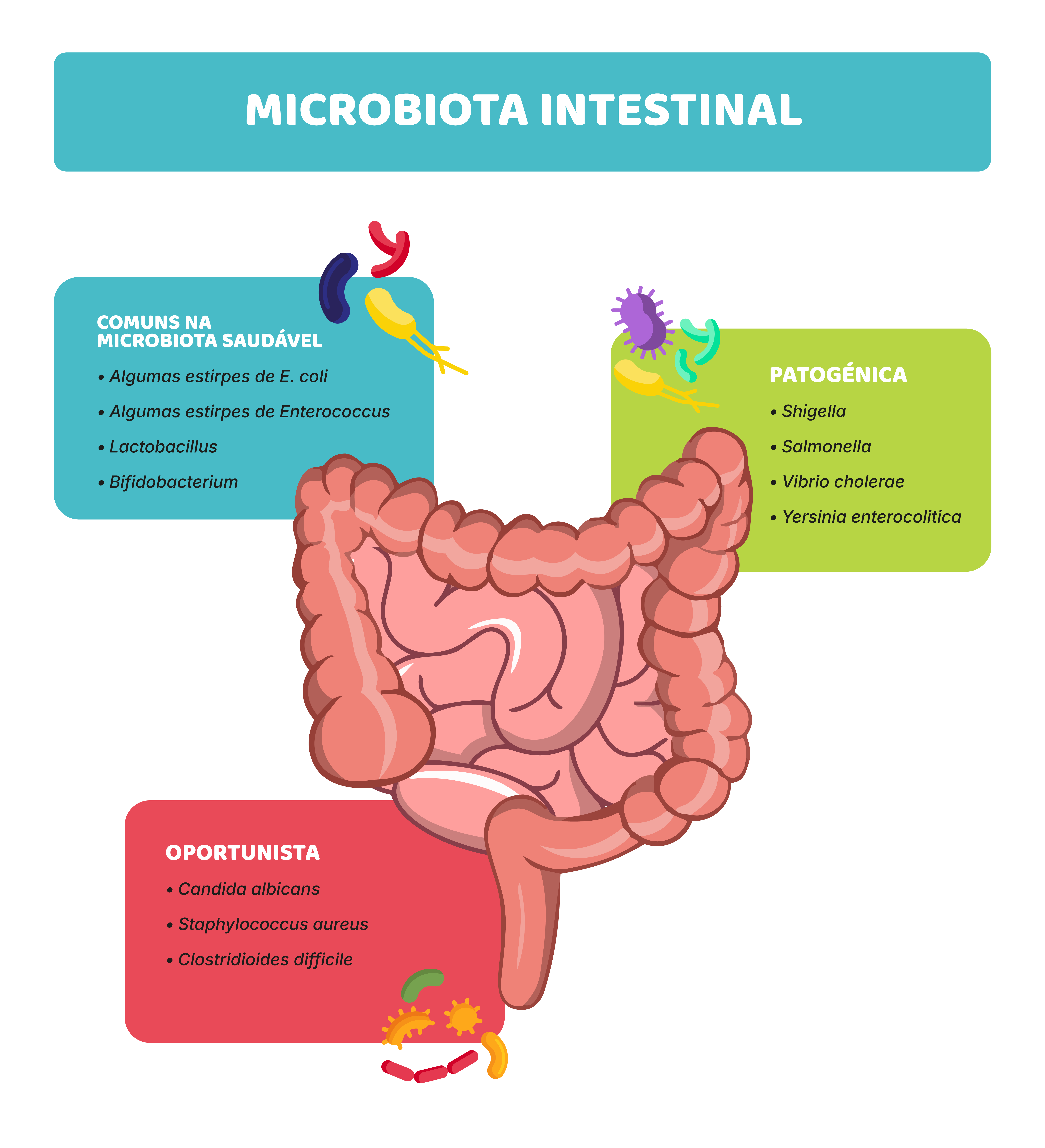Variedade: o segredo mais importante