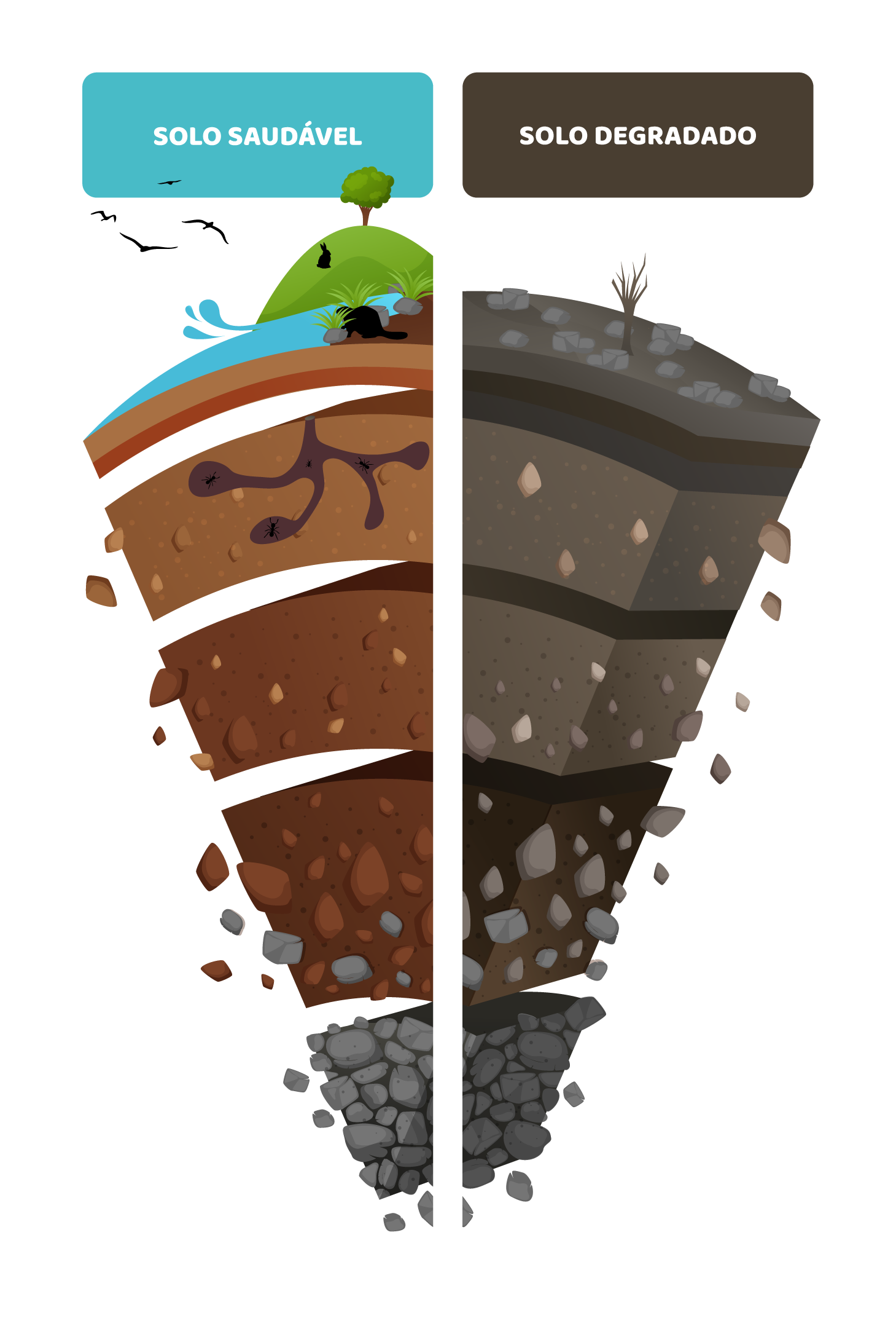 Pressões sobre os solos