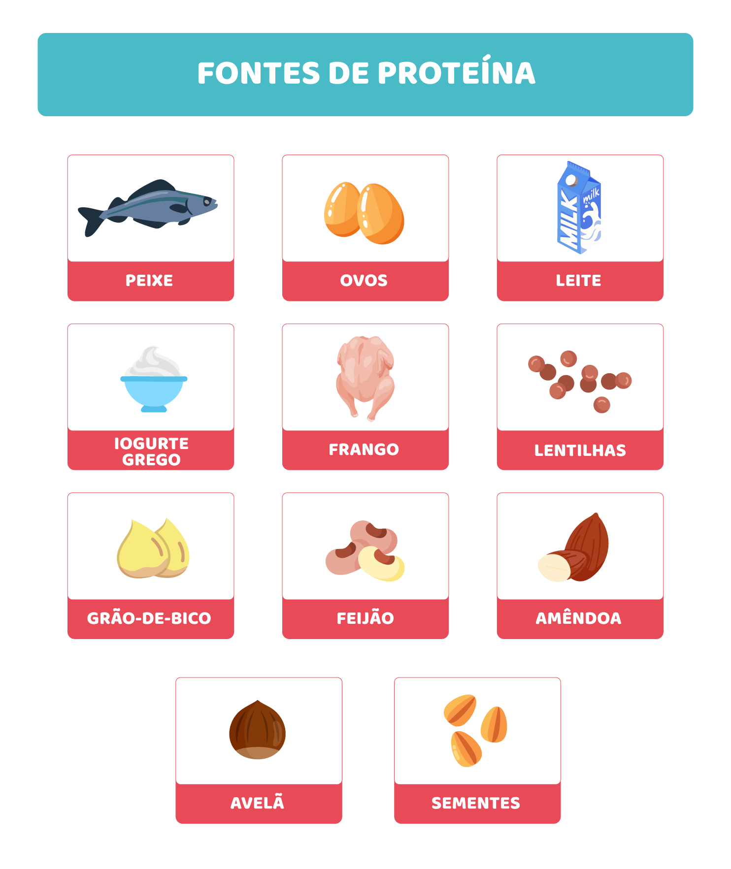 Proteínas: construção, reparação e hormonas