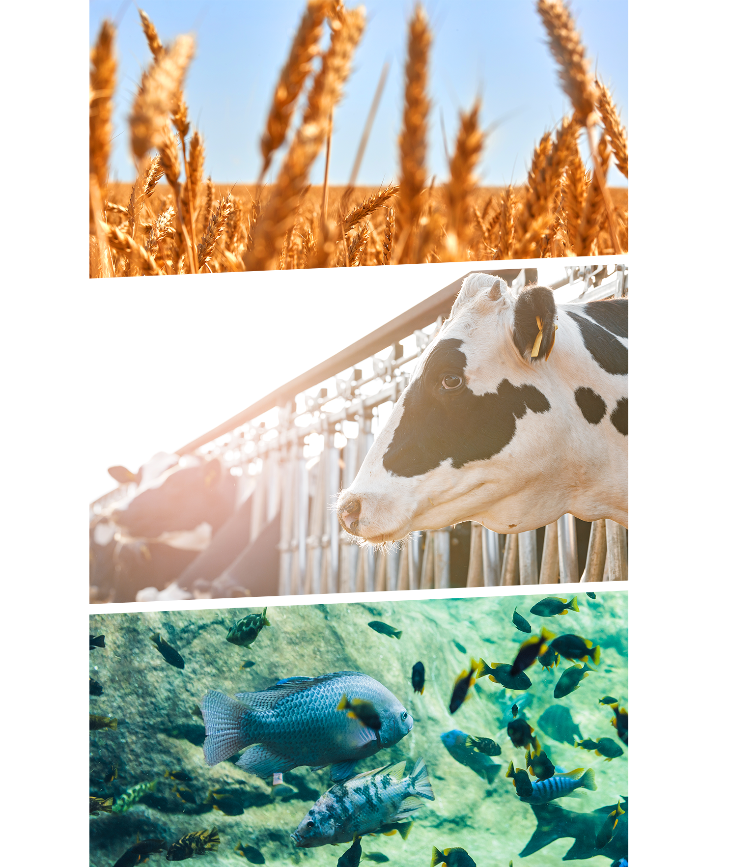 A produção: onde tudo começa