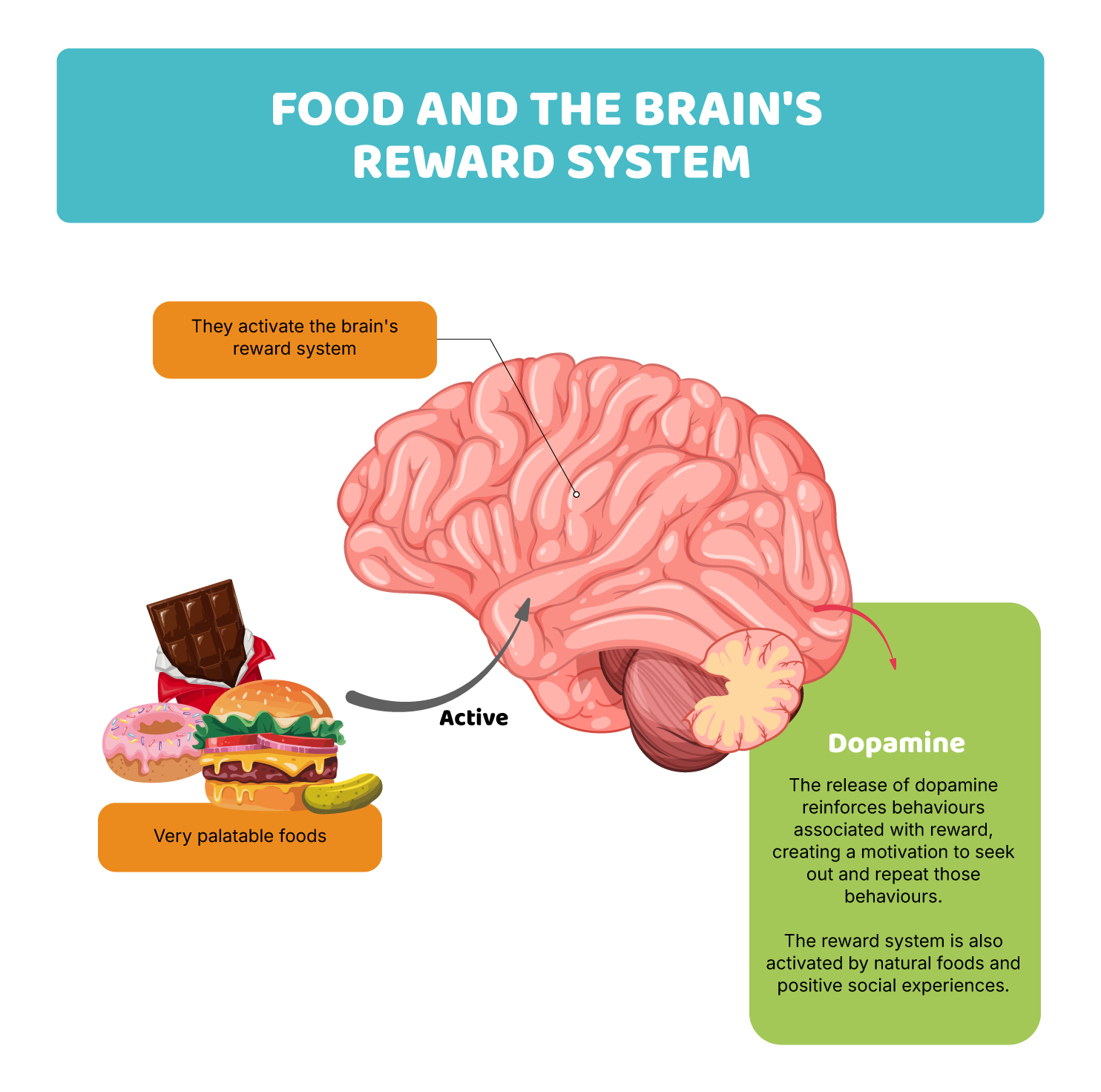 How to practise mindful eating in your day-to-day life