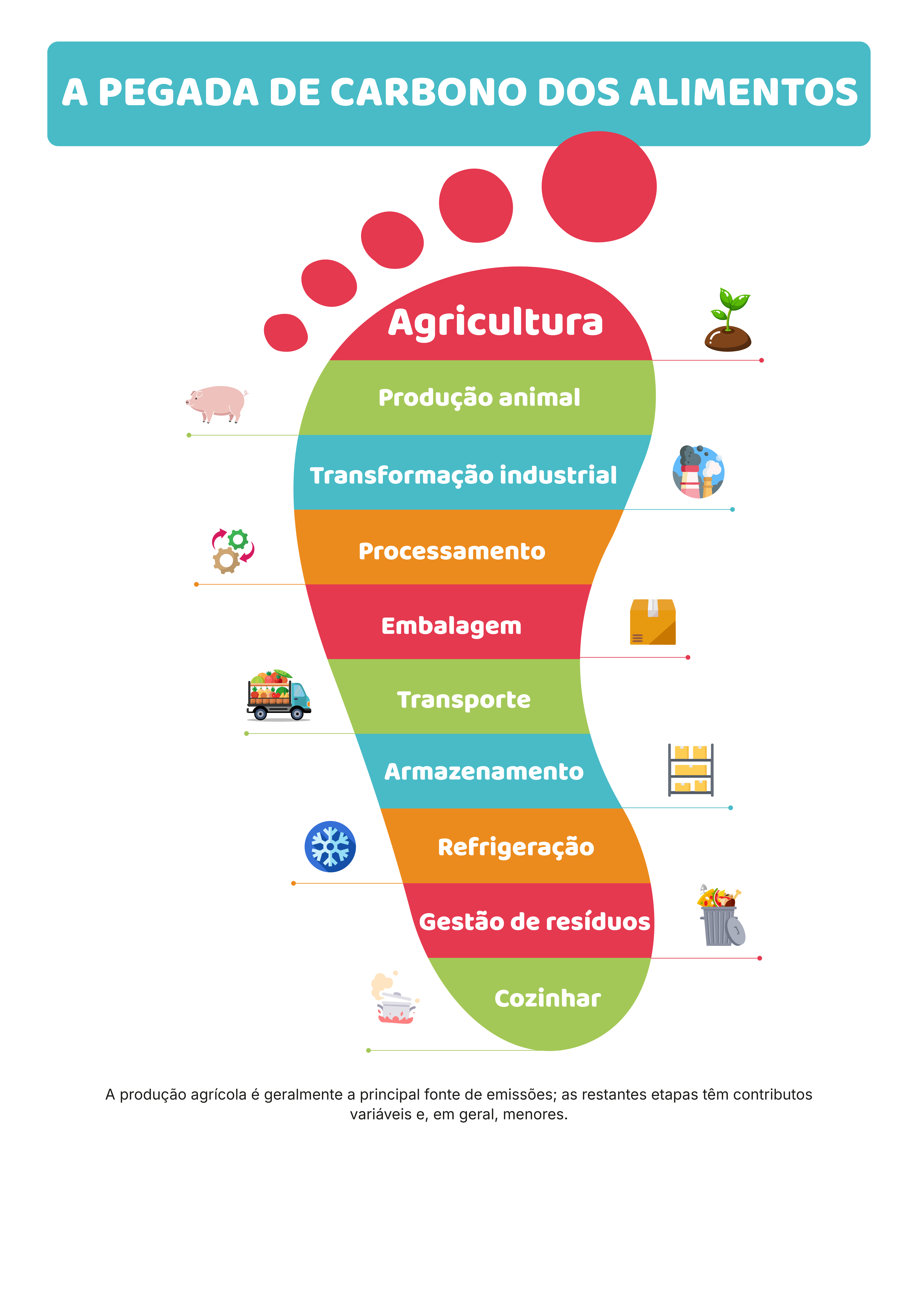 Ciclo do Carbono: alimentação, clima e solos