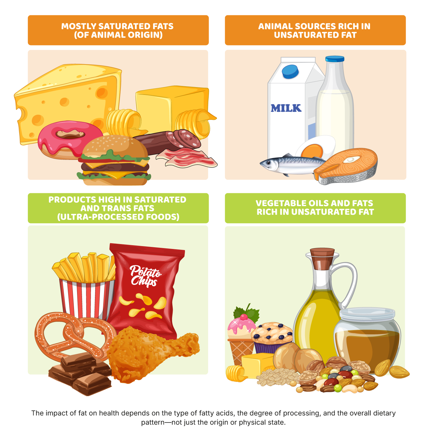 Functions of fat in the body
