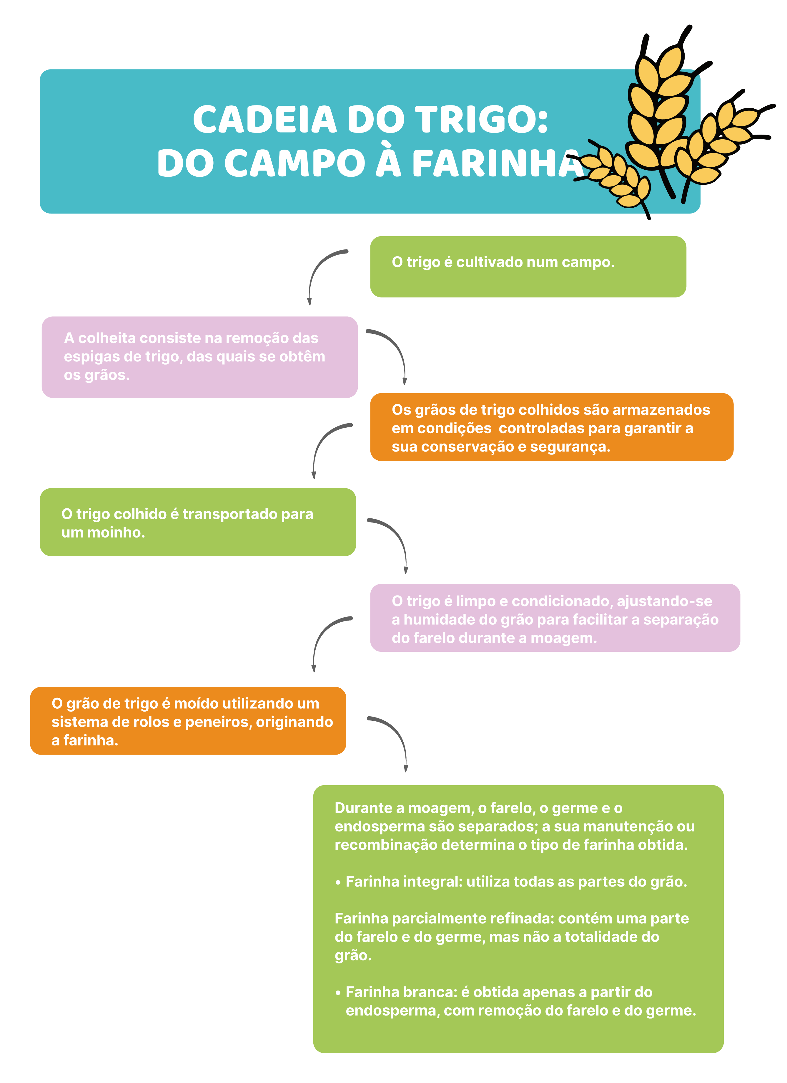 Moagem – a base de quase tudo