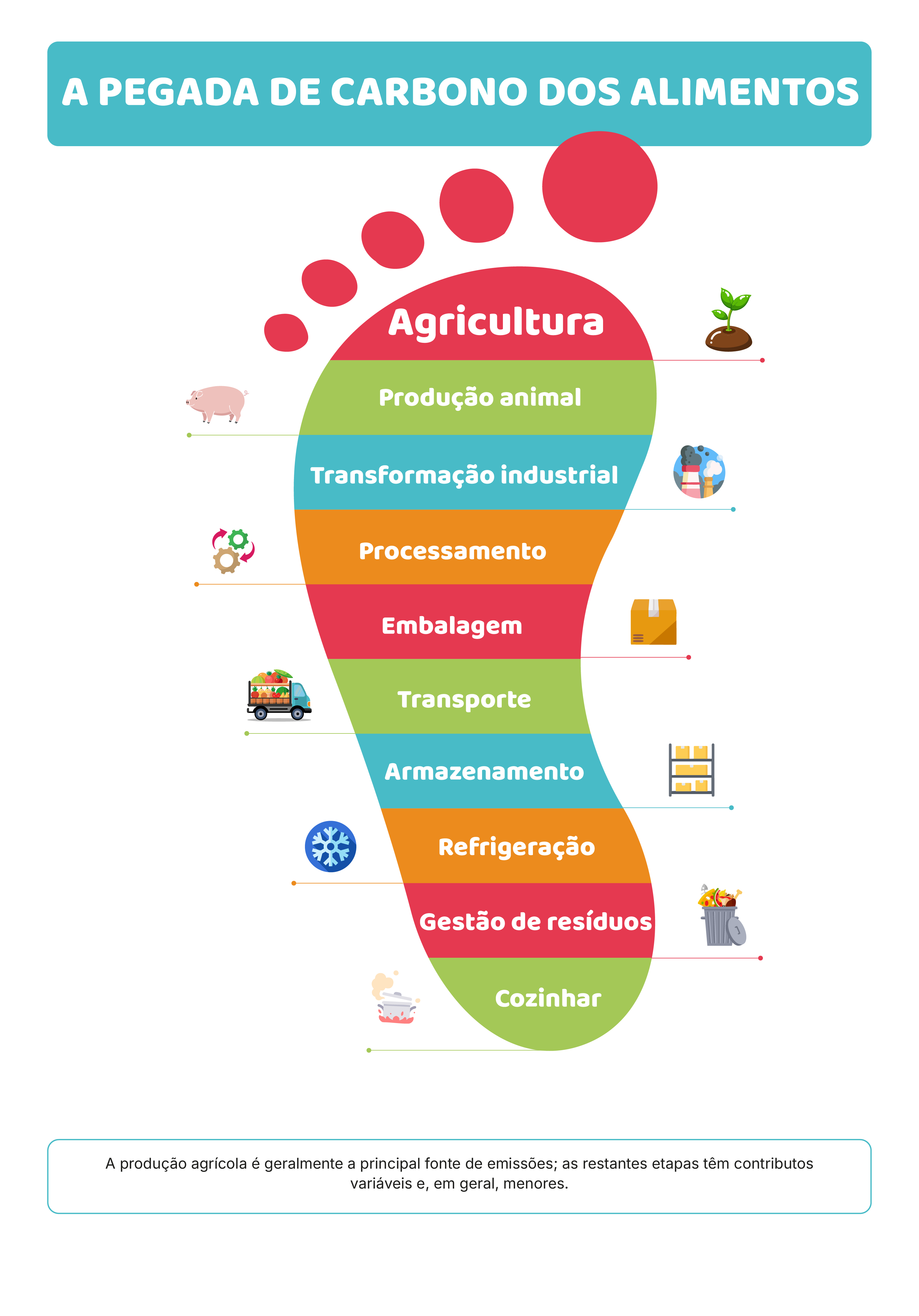 Ciclo do Carbono: alimentação, clima e solos