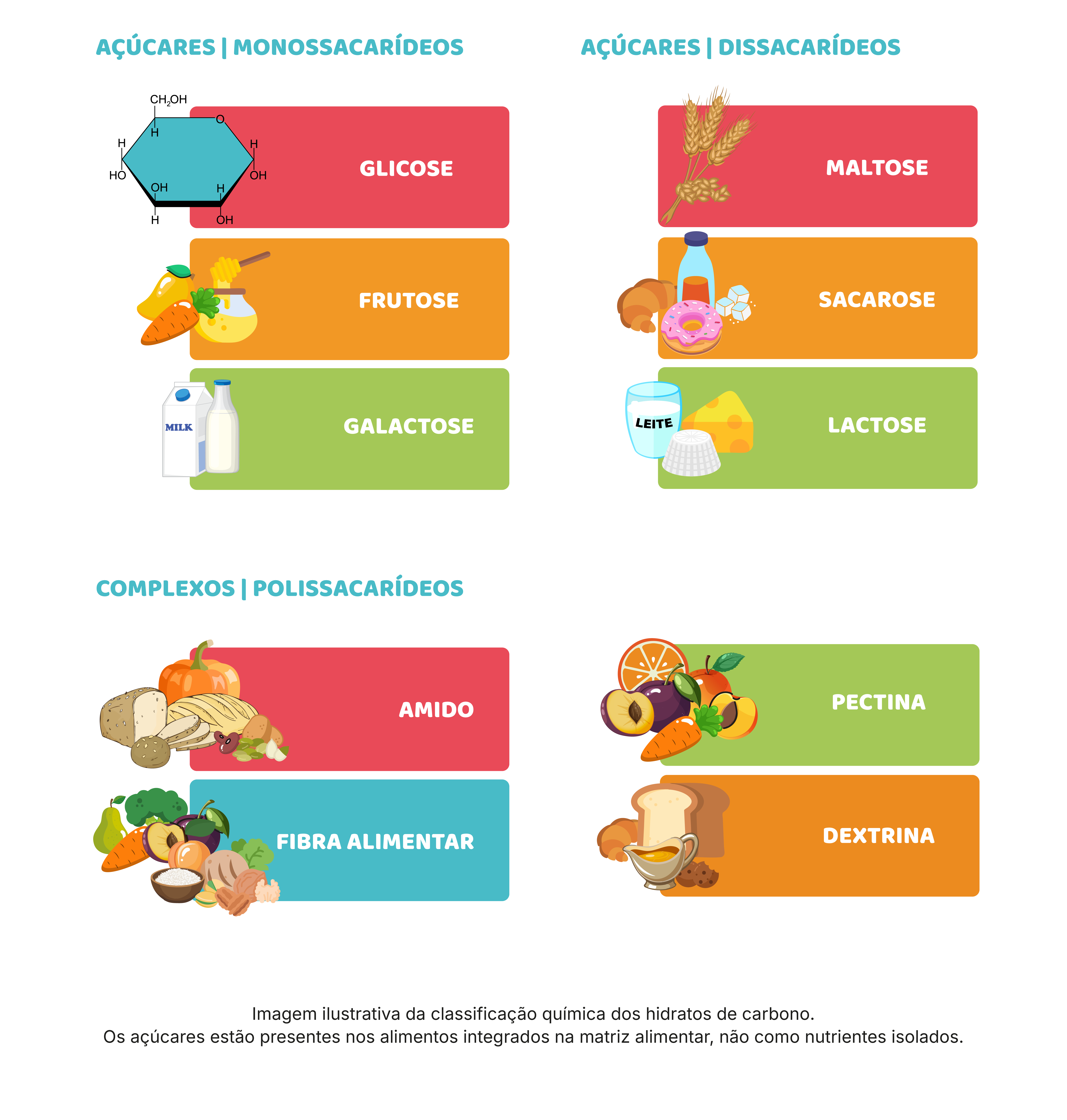 a) Hidratos de carbono