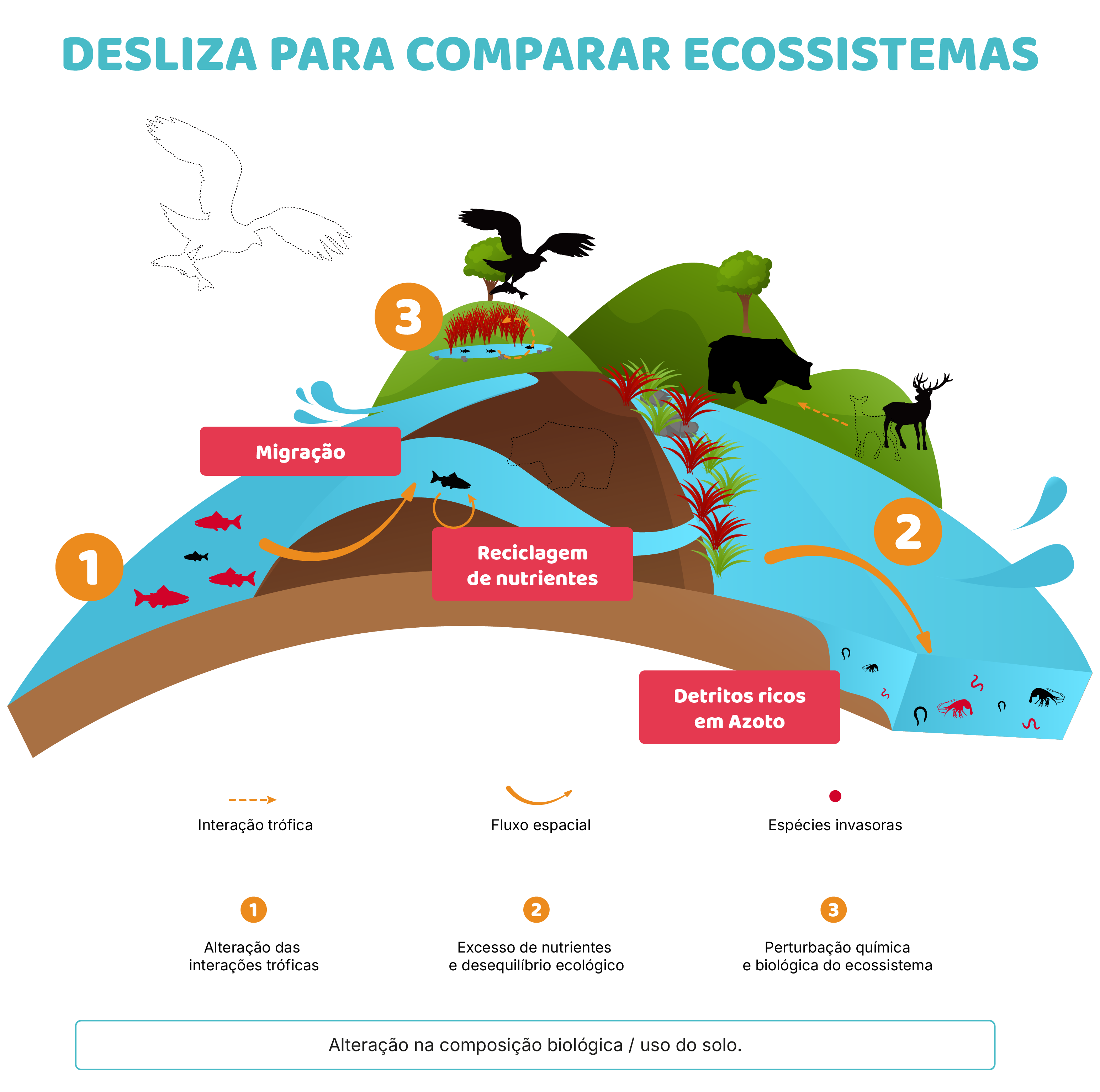 Espécies invasoras e impactos na alimentação After