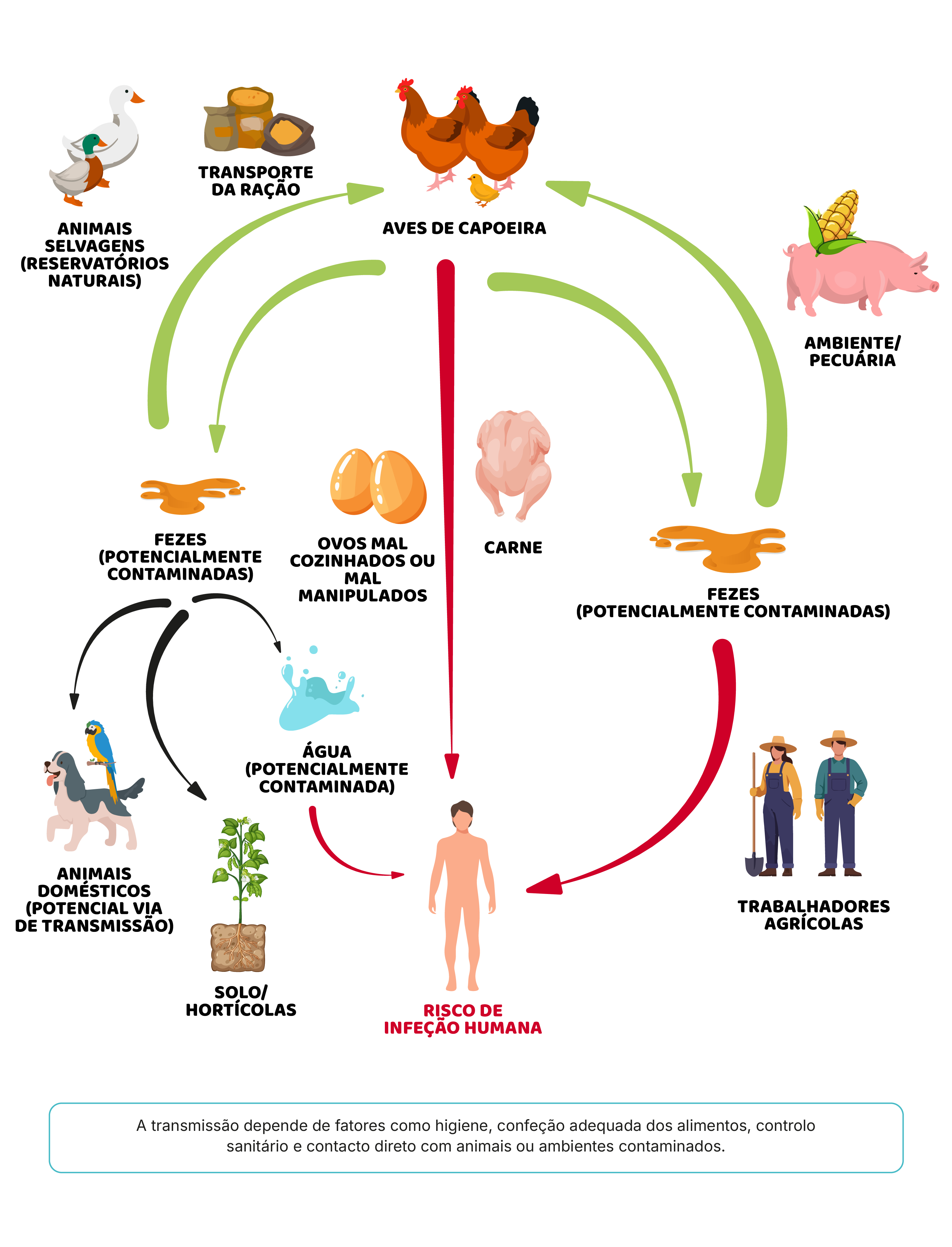 Segurança alimentar começa na escolha