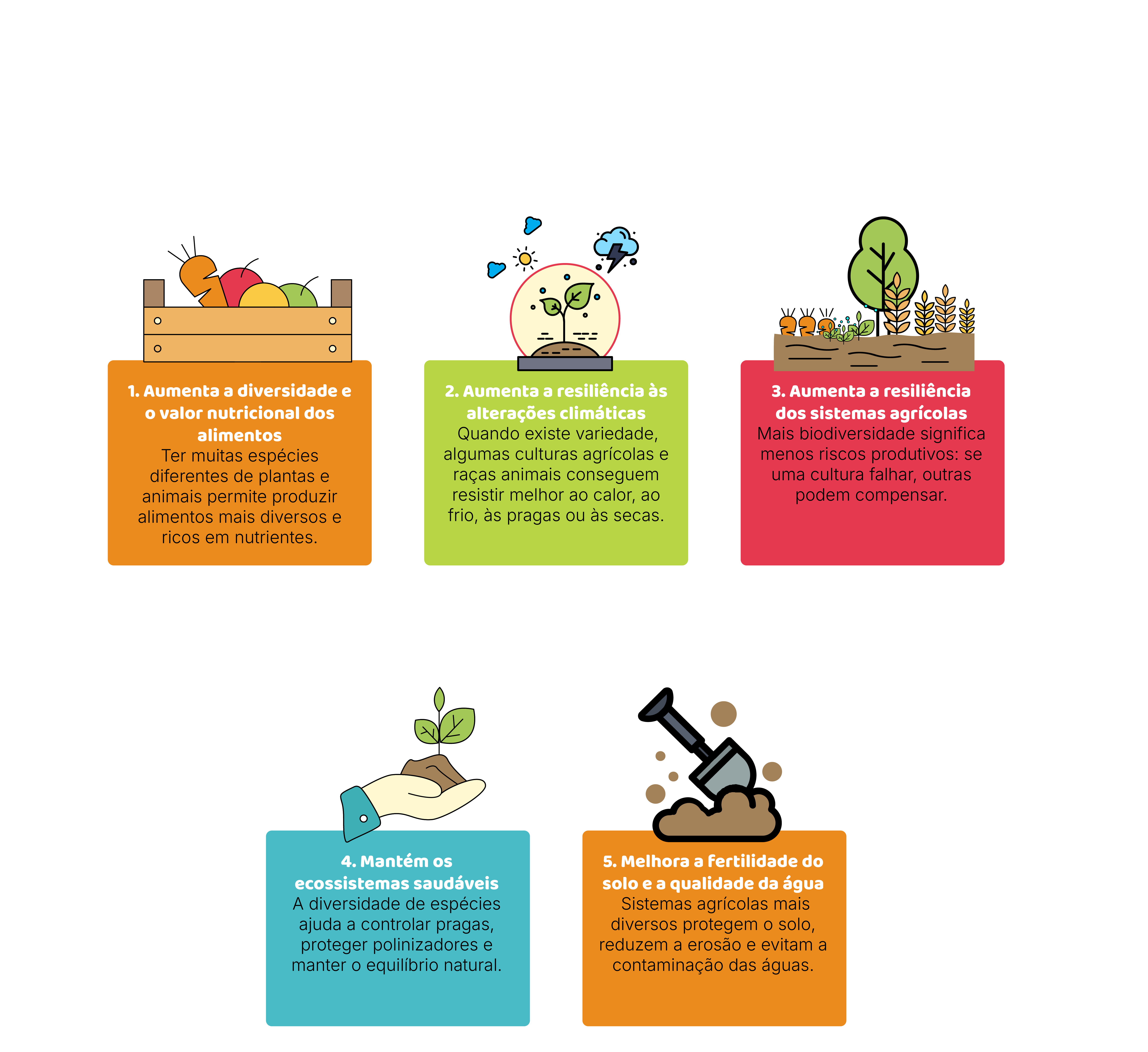 Biodiversidade agrícola e resiliência climática