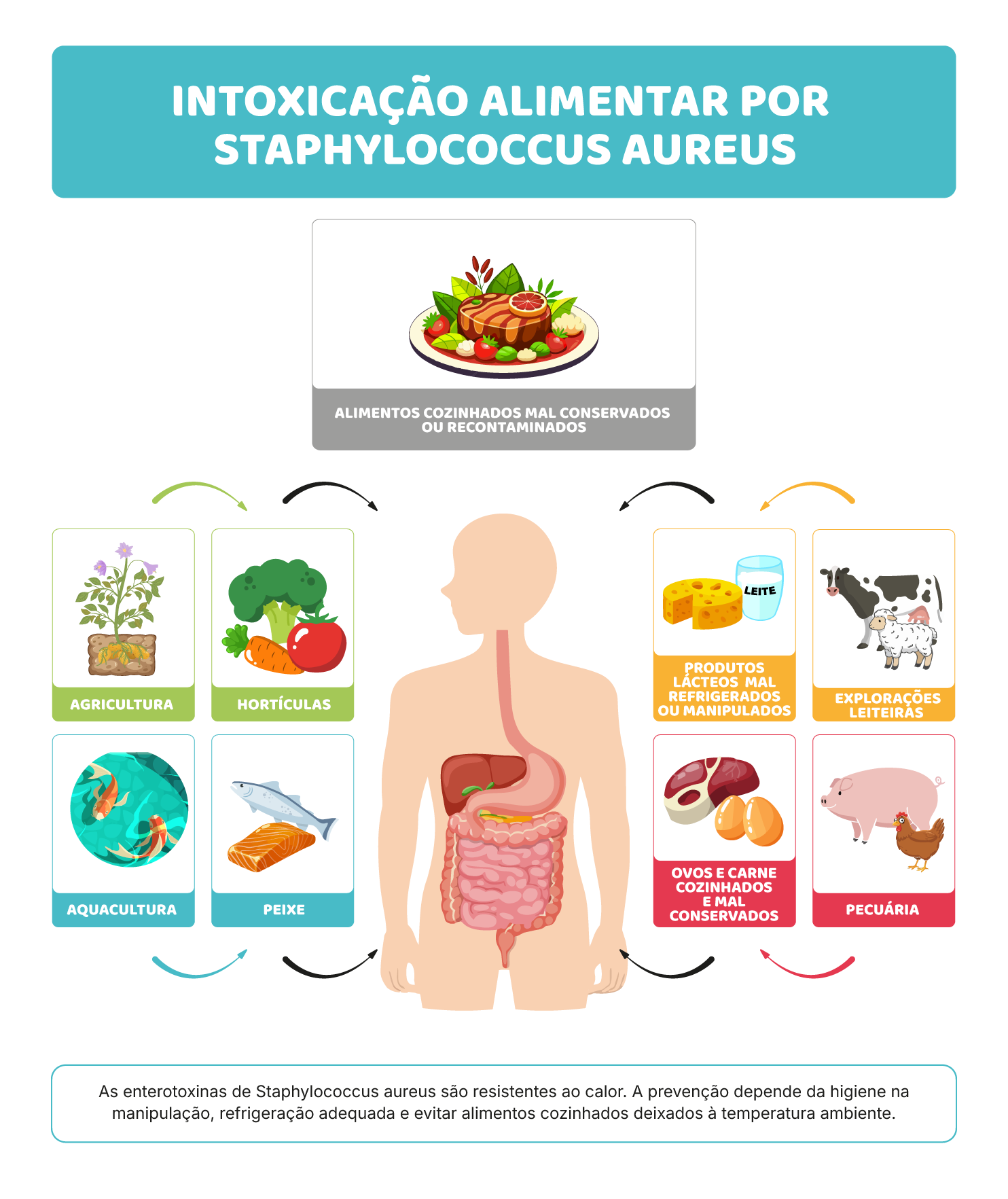 Riscos modernos: compras online, entregas e prontos a comer