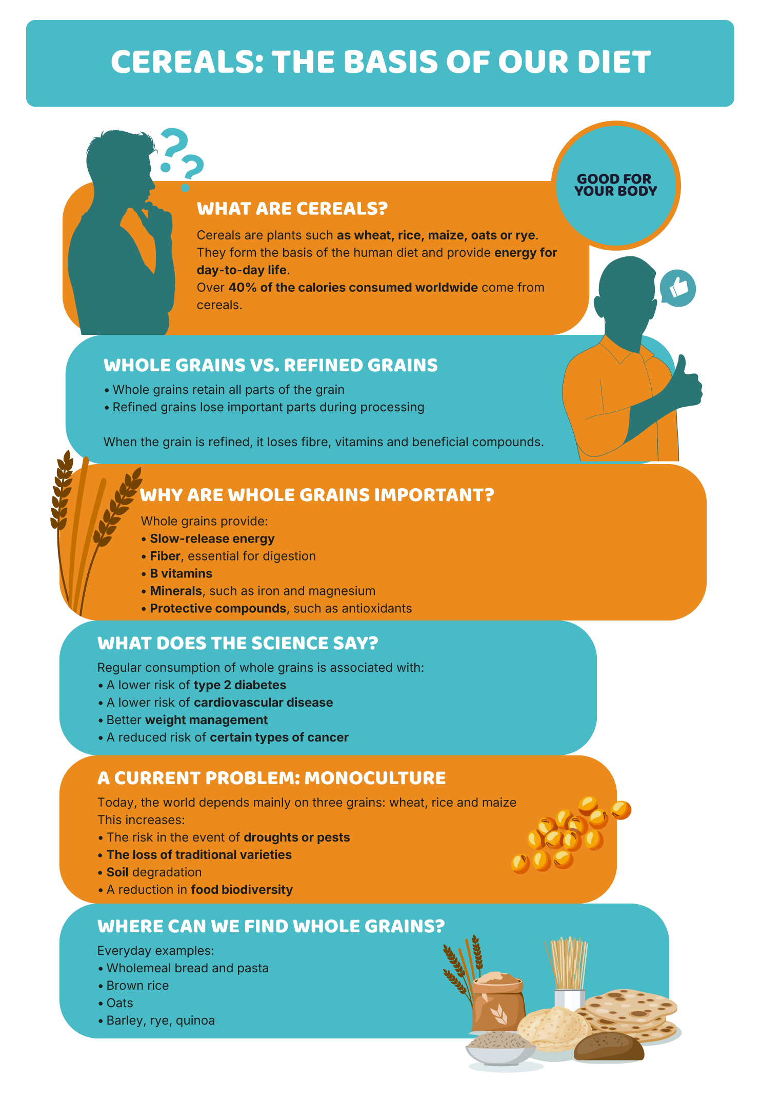 Cereals: the backbone of the human diet