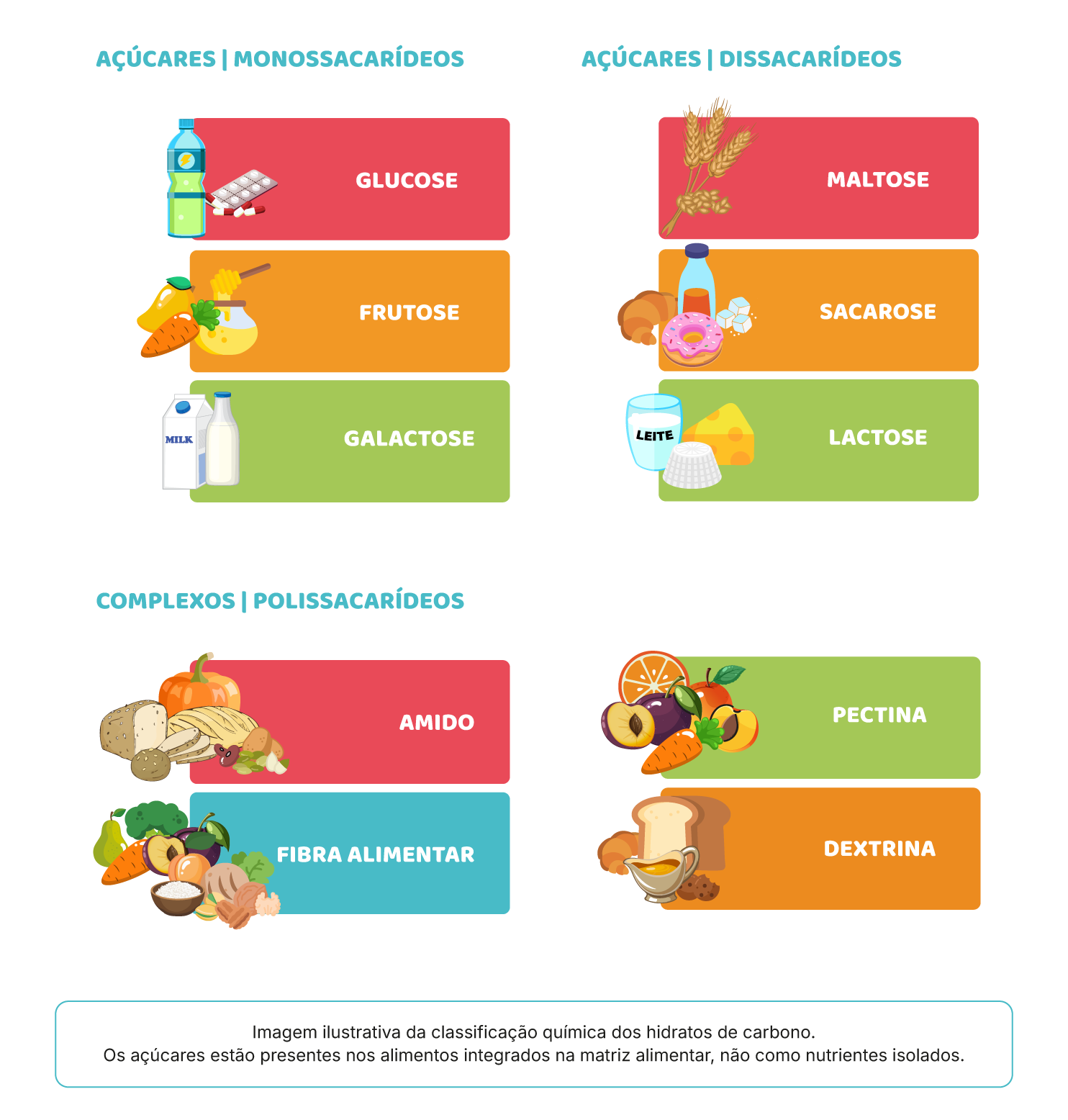 a) Hidratos de carbono