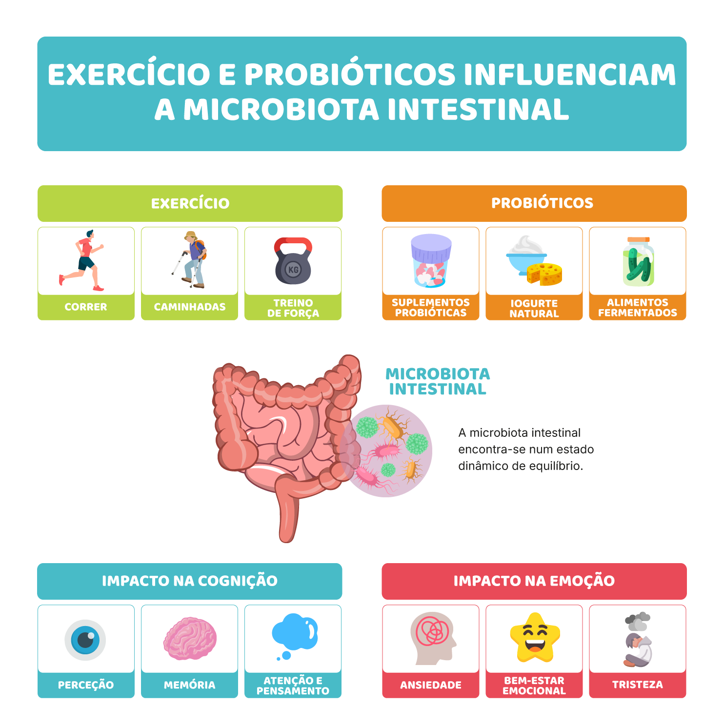O que é a microbiota? (e porque é tão importante)