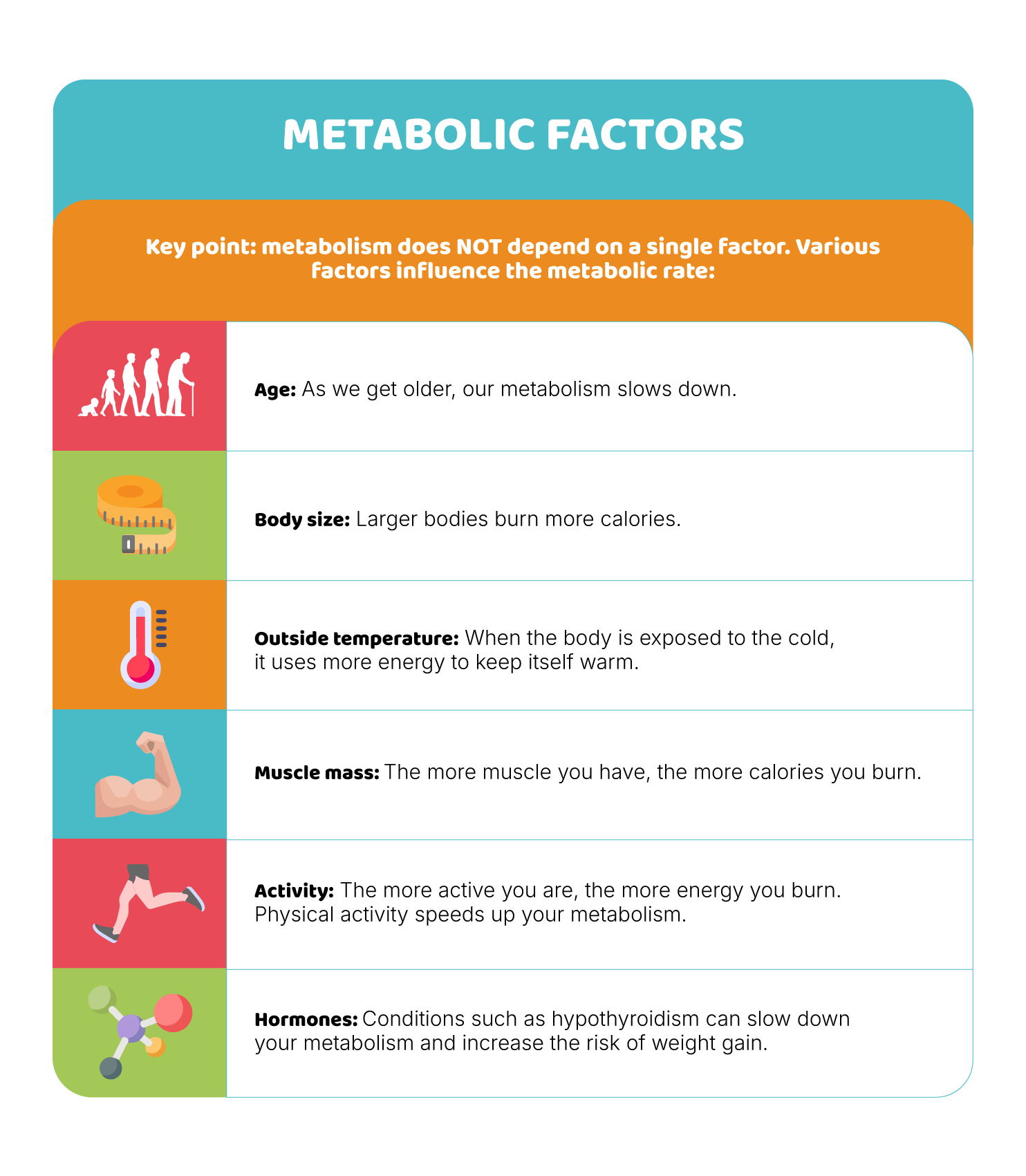 Metabolism: how the body generates energy and nutrients