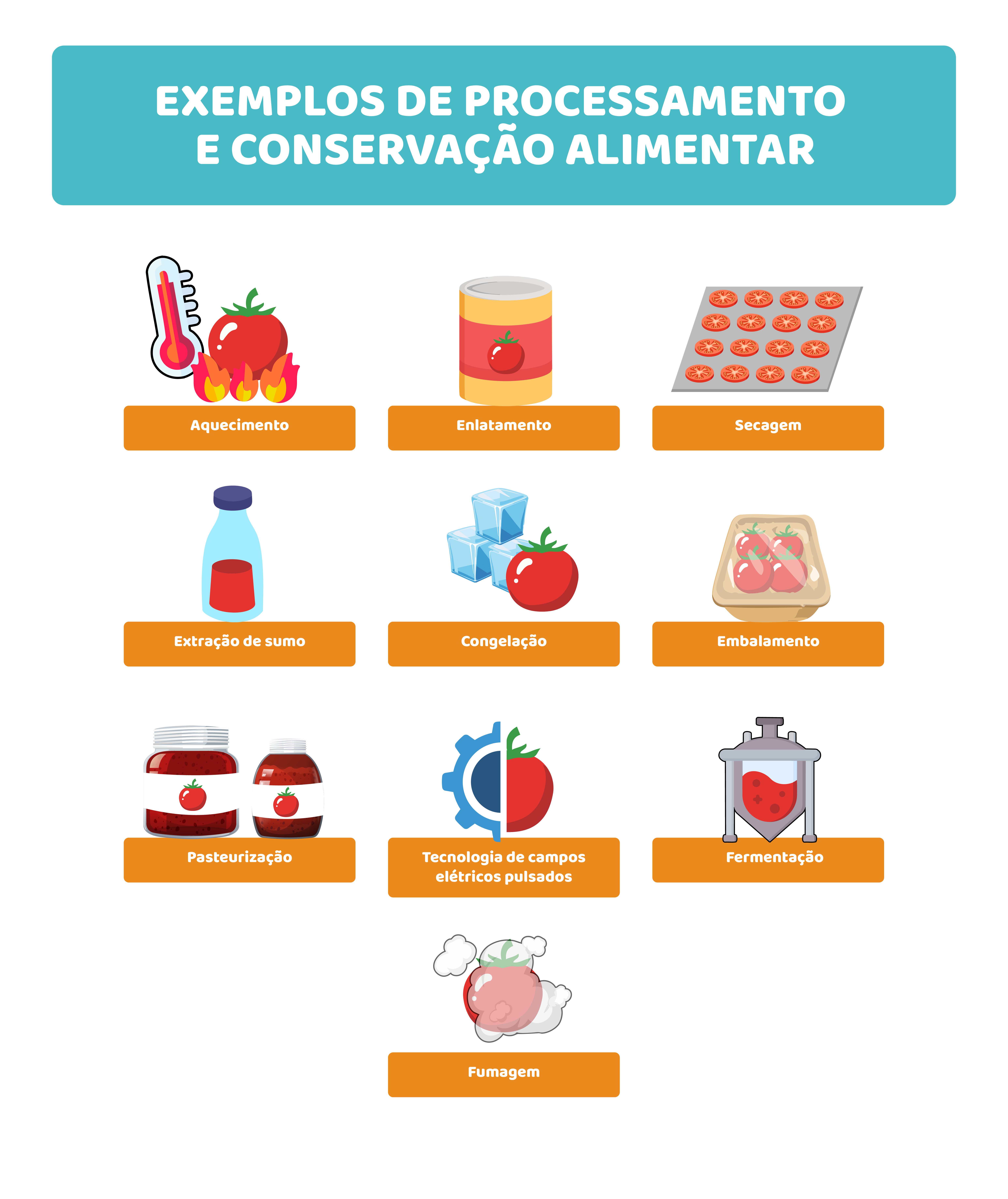 Transformação: quando o alimento muda de forma — e de impacto