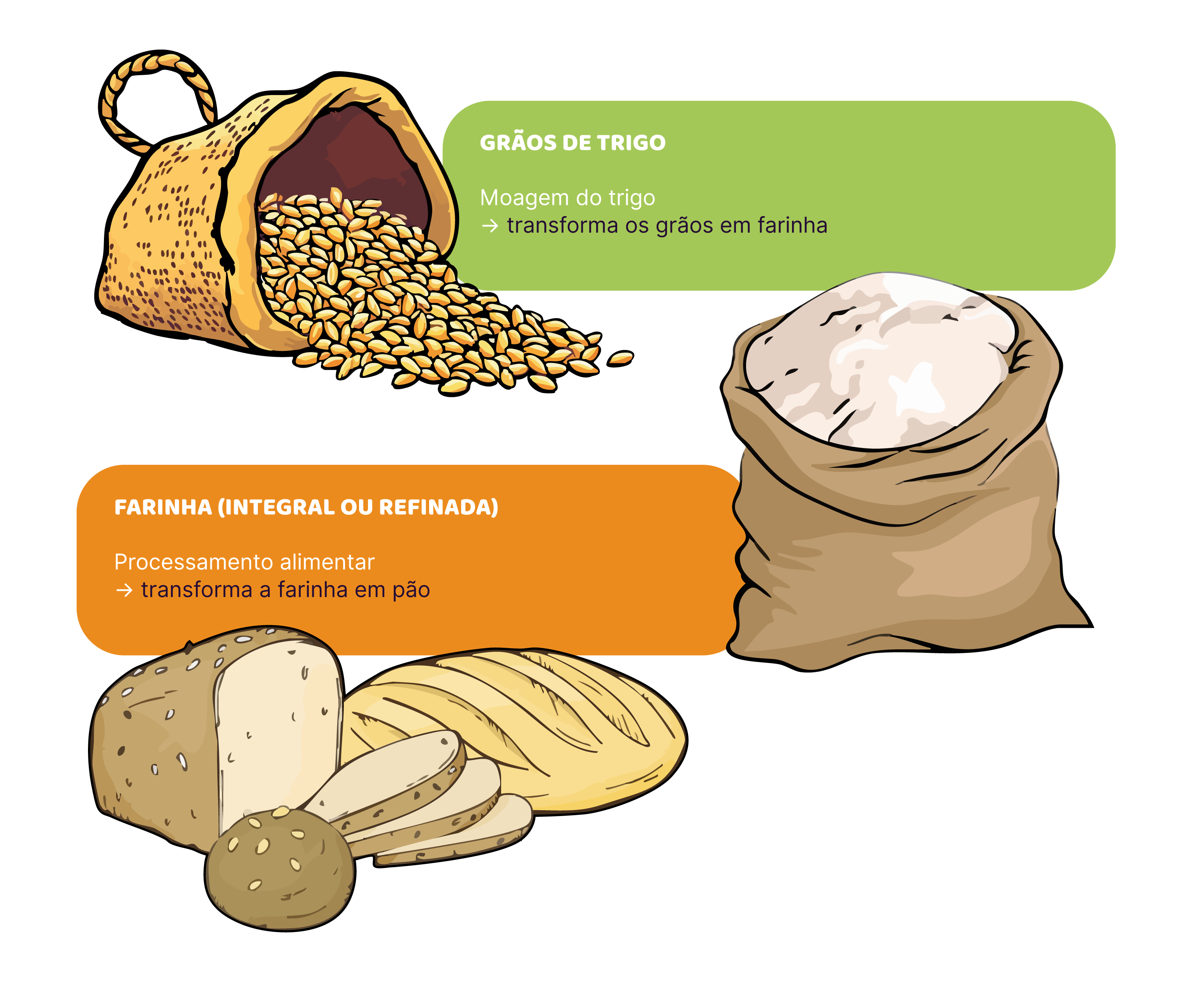 Transformação dos cereais