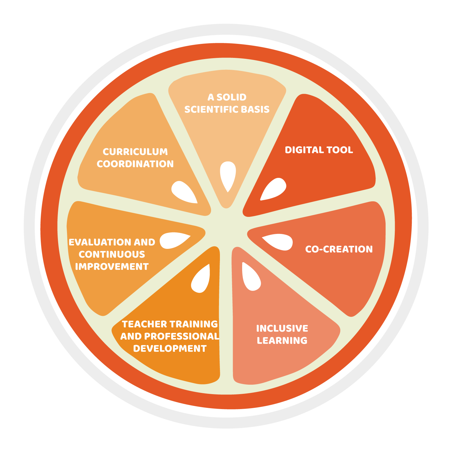 Programme Structure