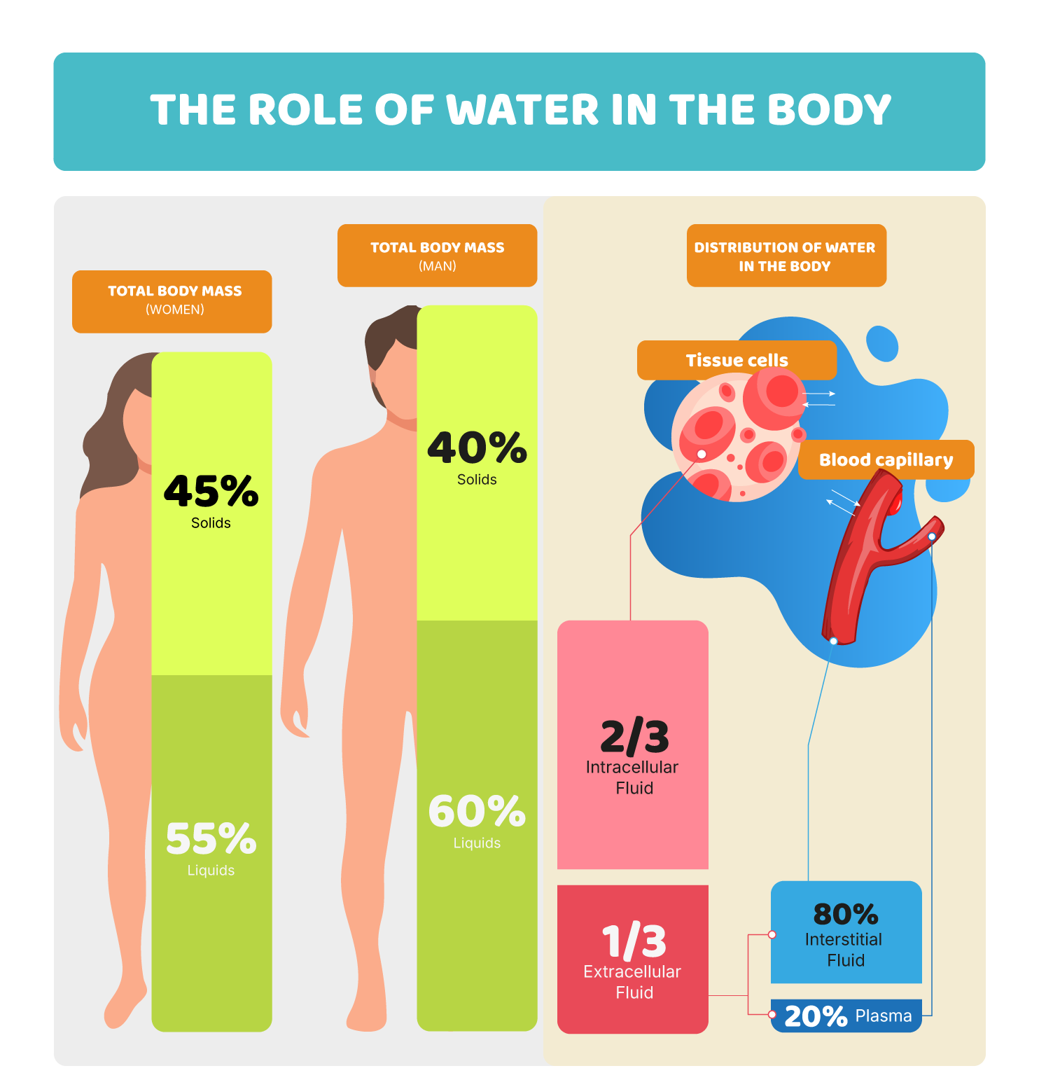Water: