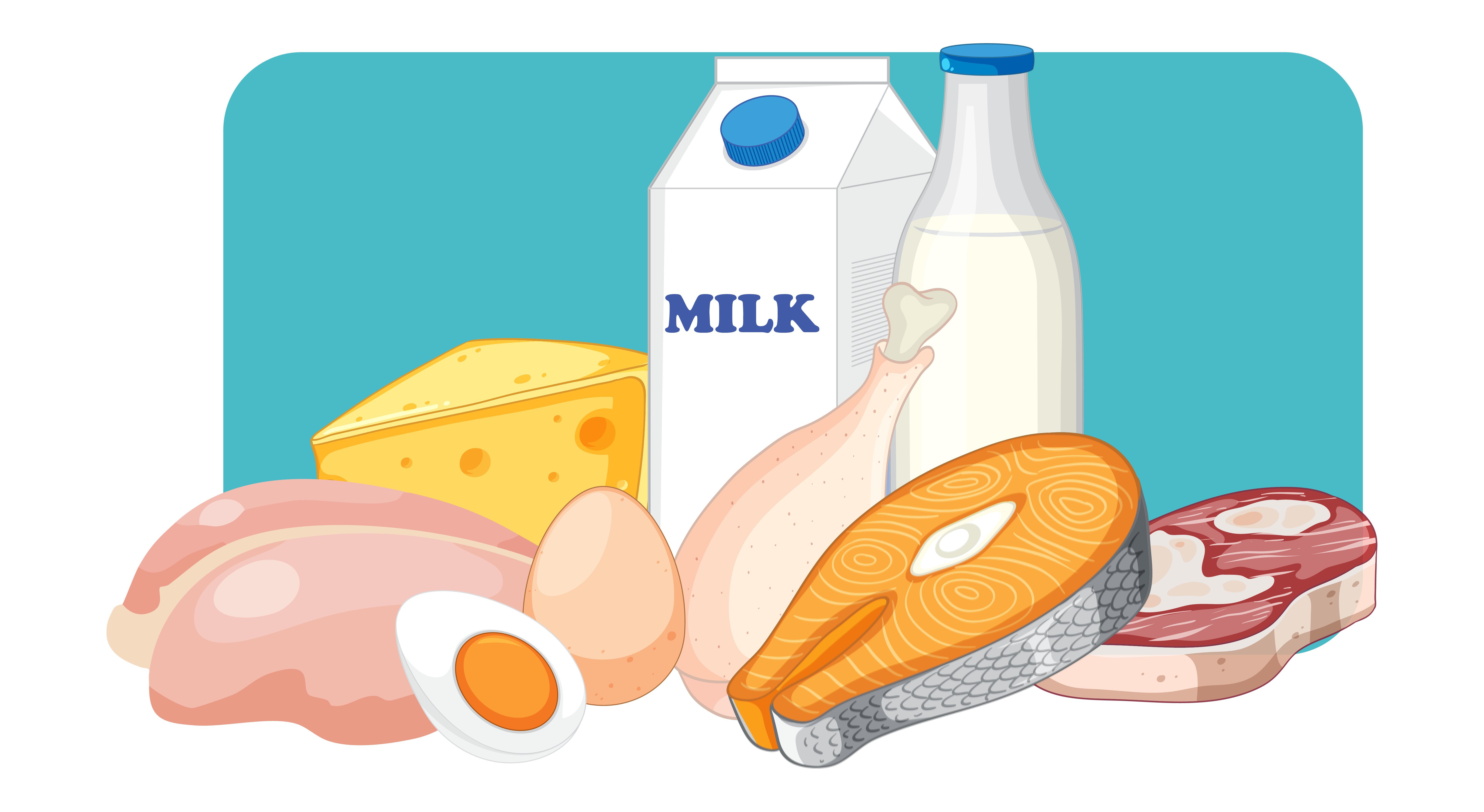 e) Fontes proteicas animais: equilíbrio e frequência