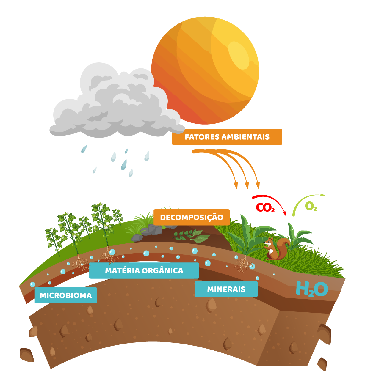 Como manter os solos saudáveis
