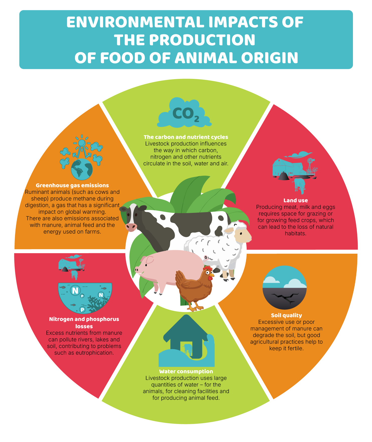 Environmental impact of protein sources