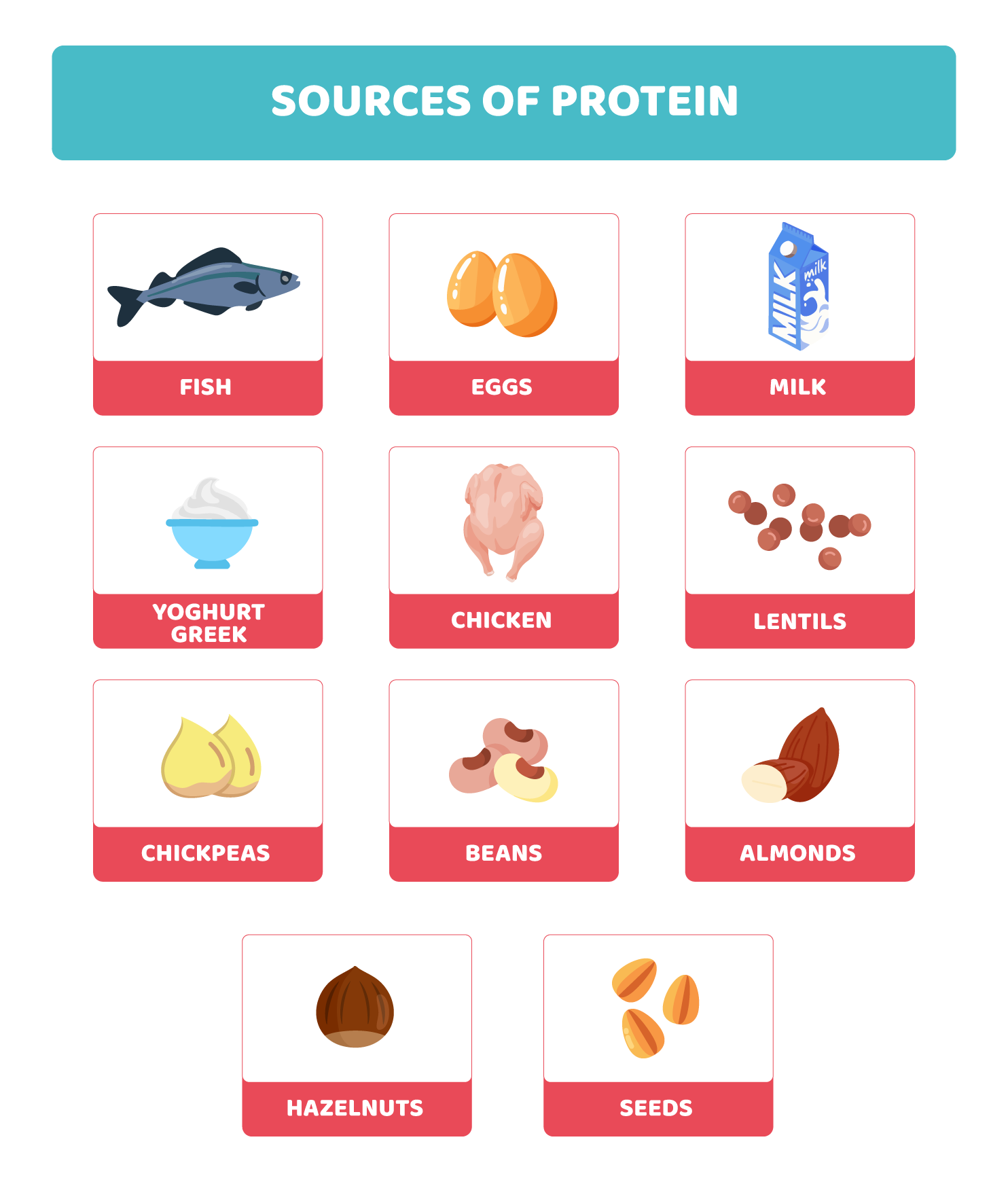 Proteins: building, repair and hormones
