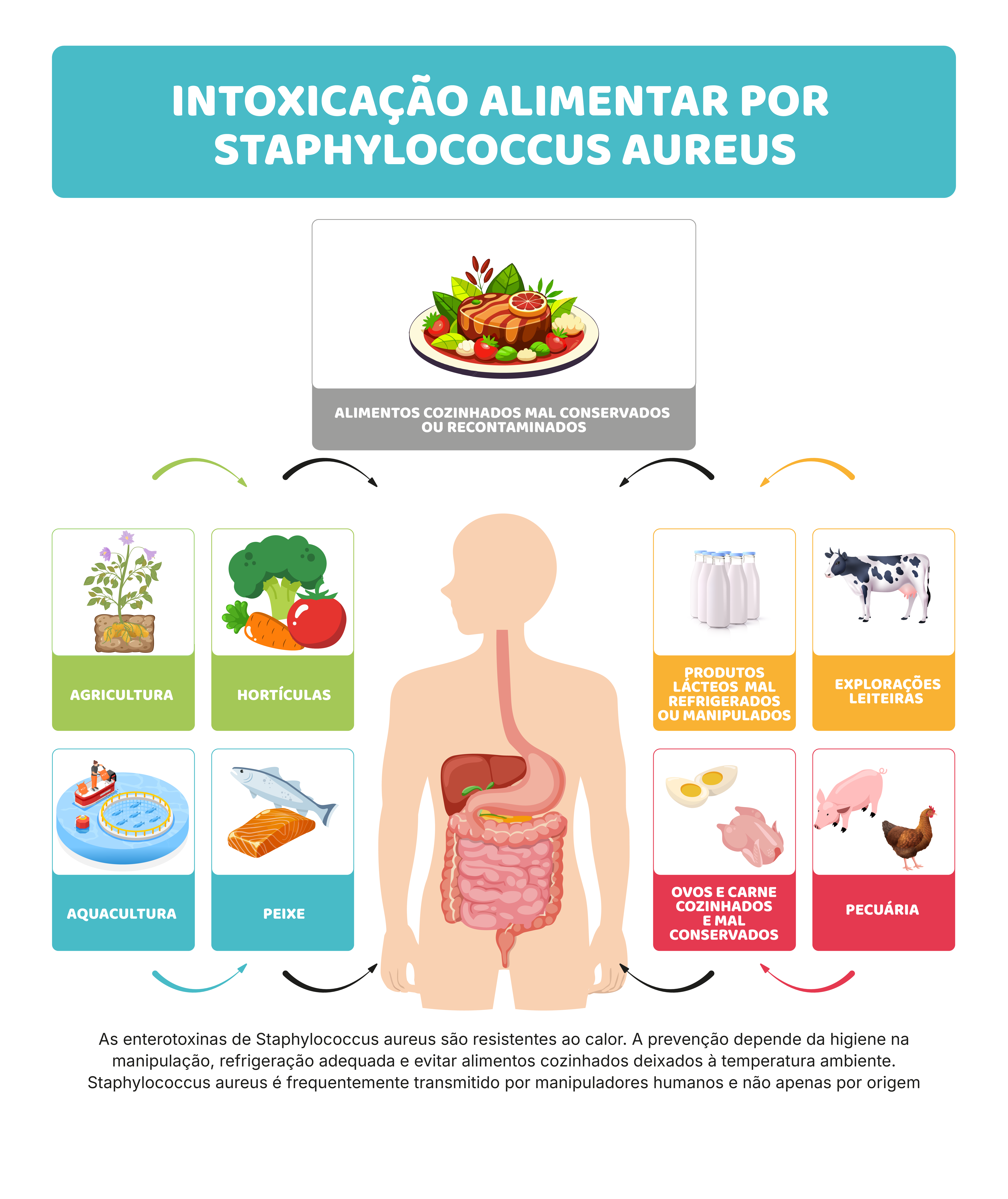 Riscos modernos: compras online, entregas e prontos a comer