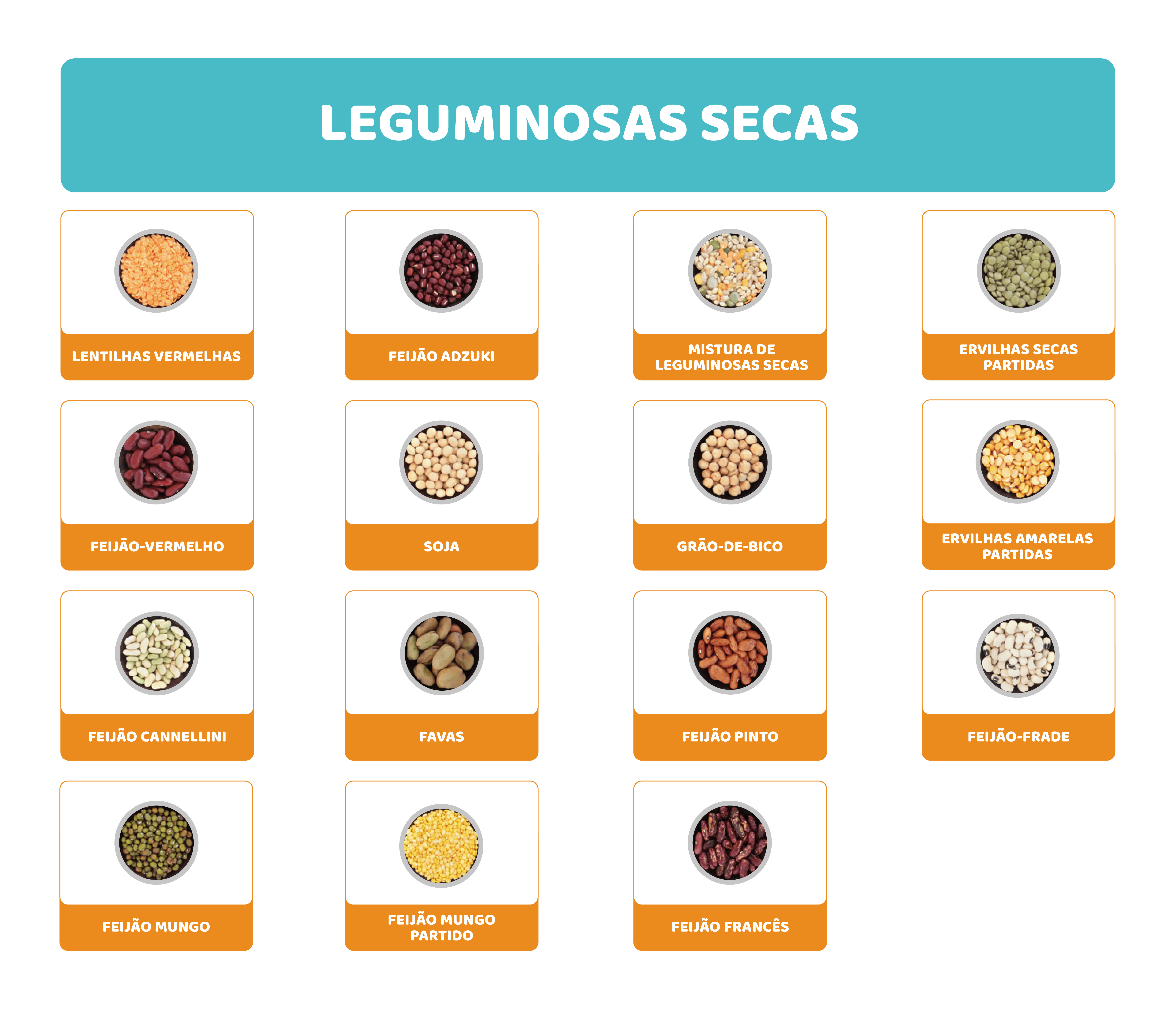 Leguminosas: o alimento do futuro