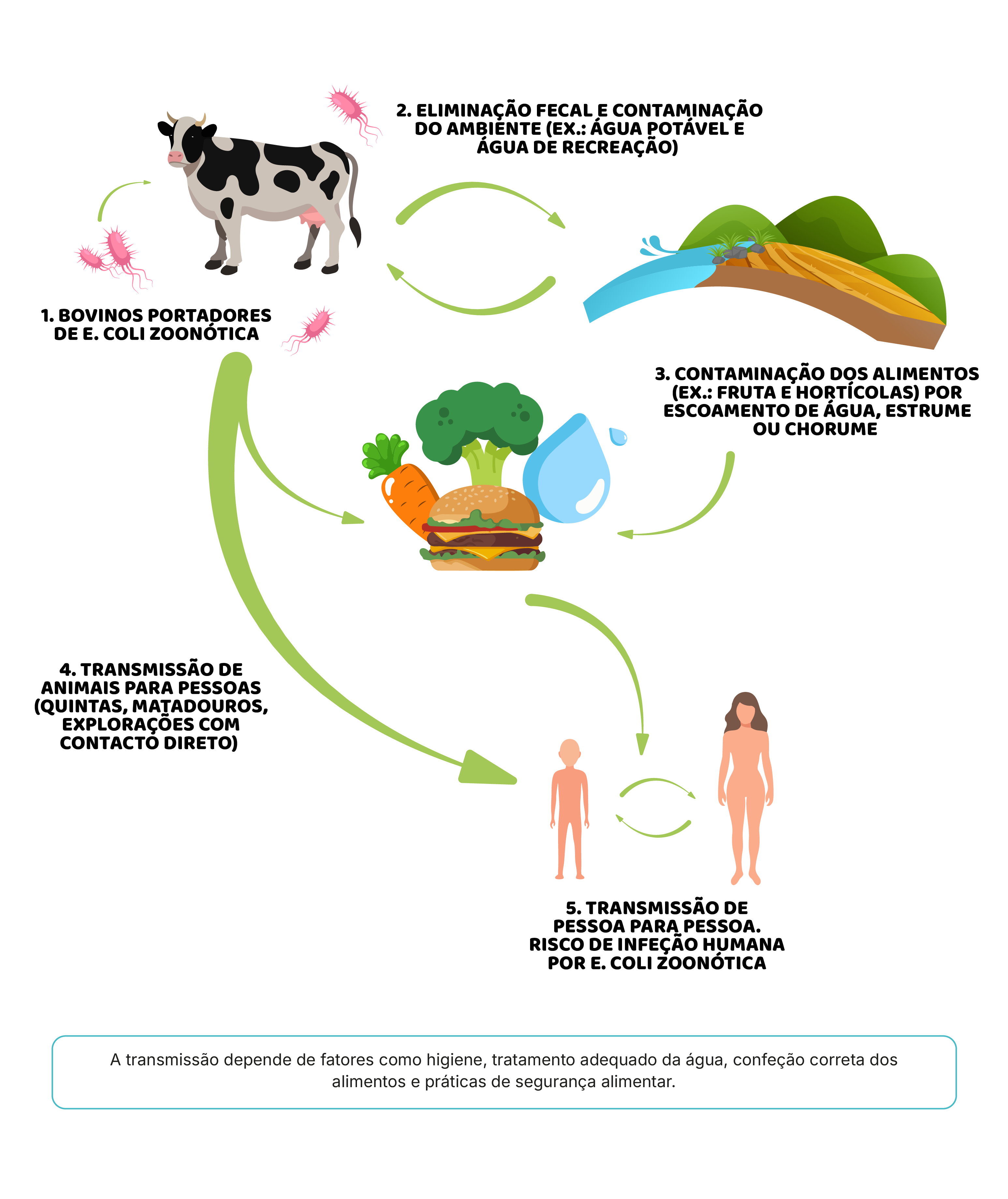 Conservação: onde pequenas distrações trazem grandes riscos