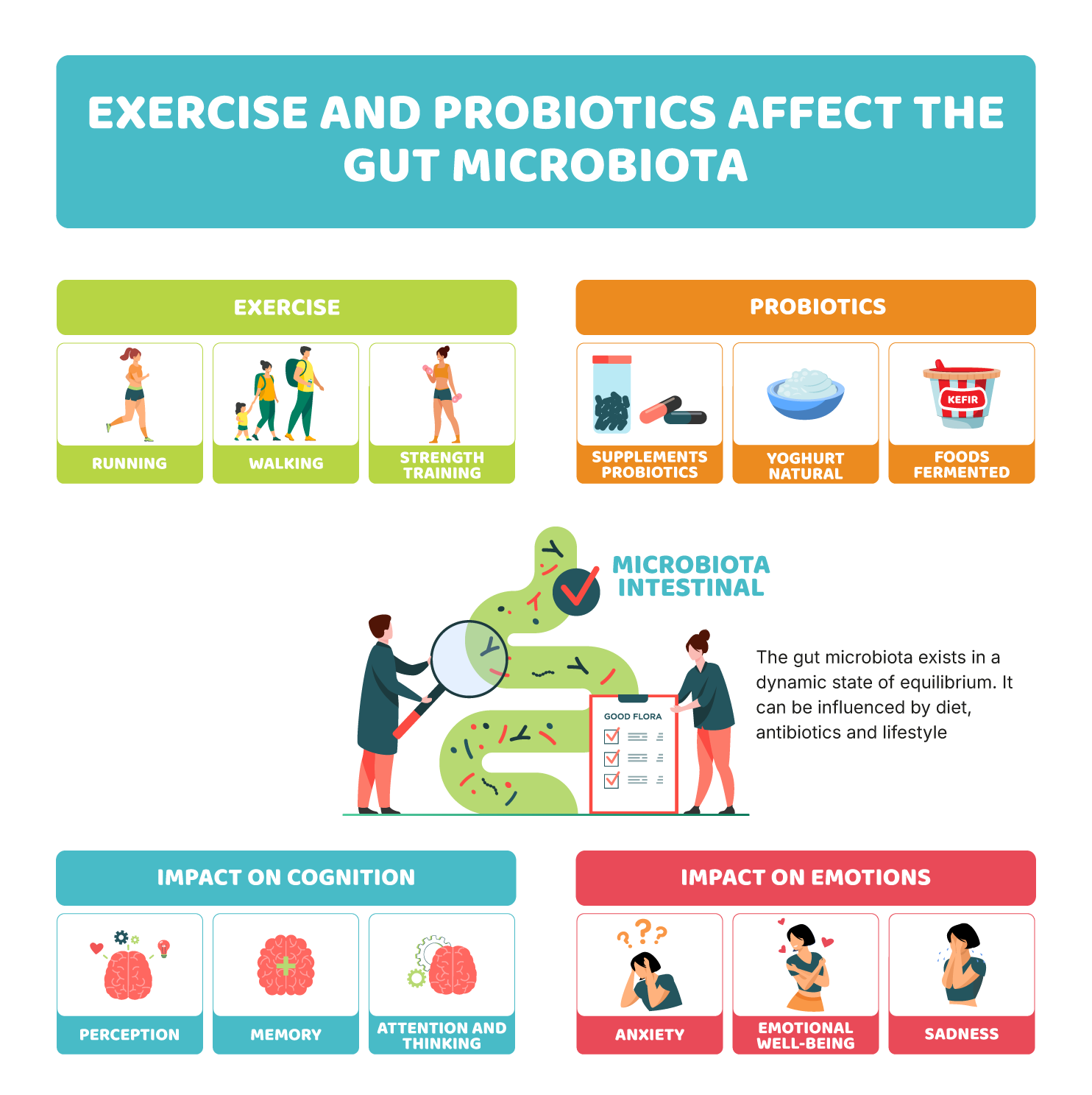 What is the microbiota? (and why is it so important?)