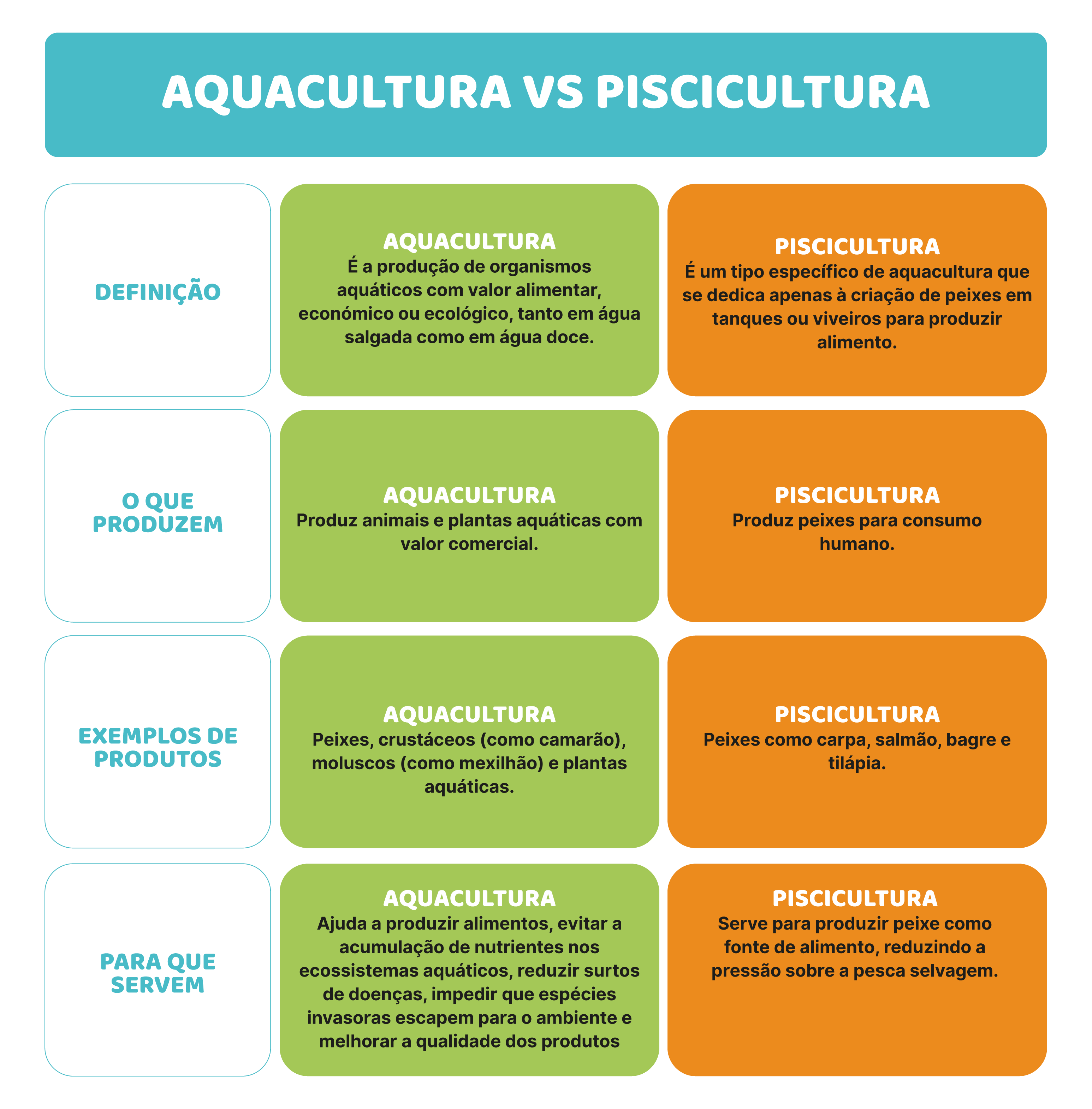 Moluscos e crustáceos