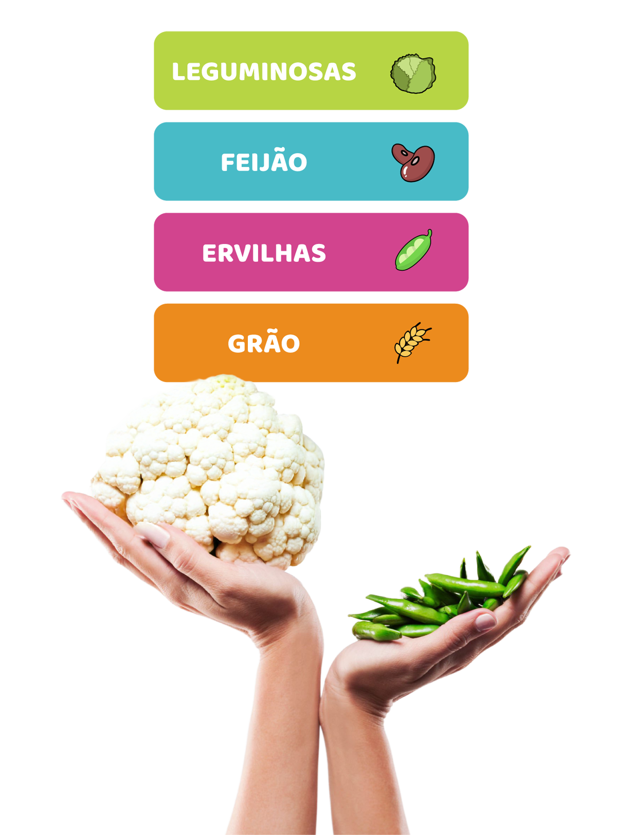 Planear as tuas refeições, cuidas do solo e do clima