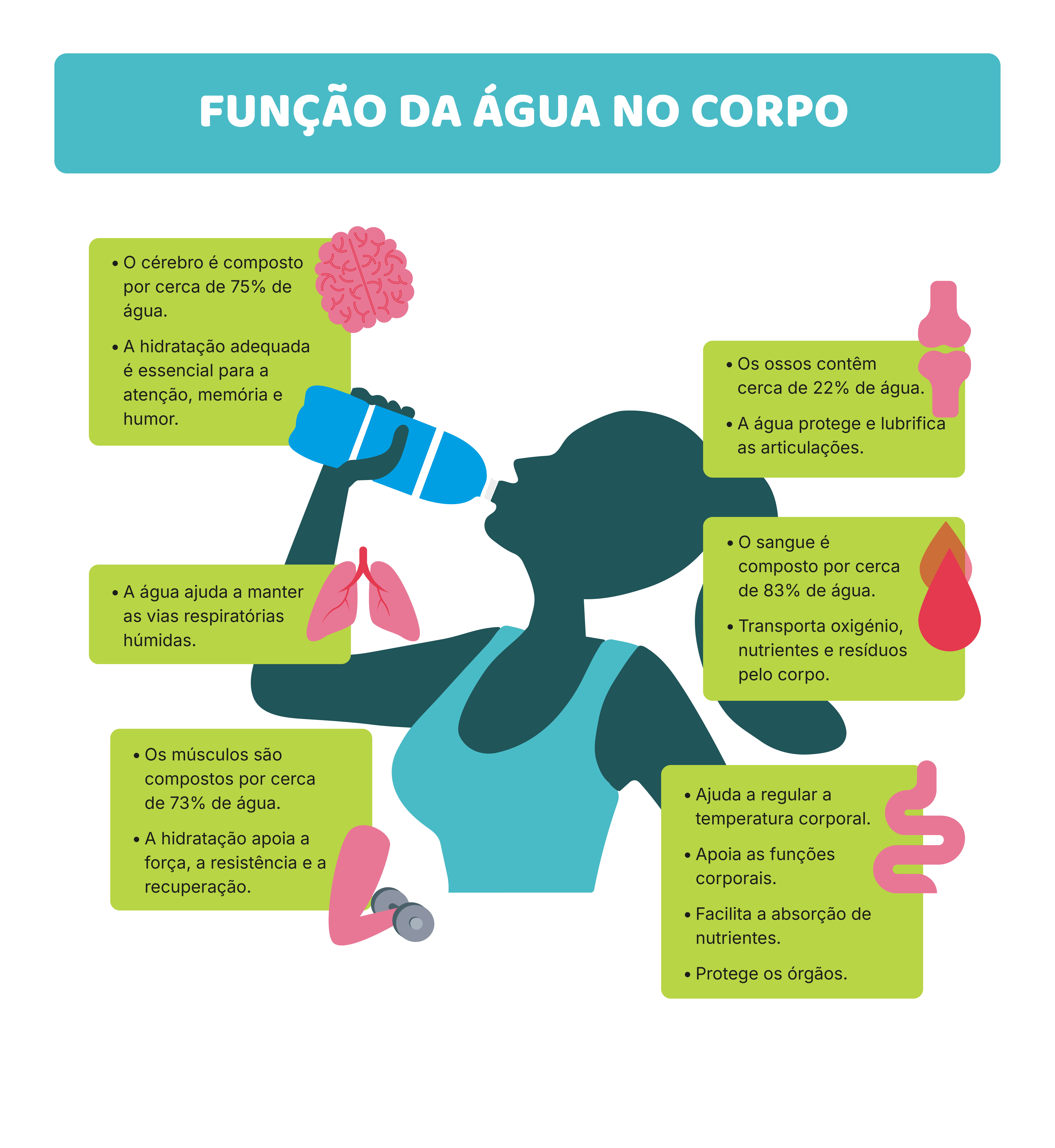 Porque a água continua a ser a bebida nº 1