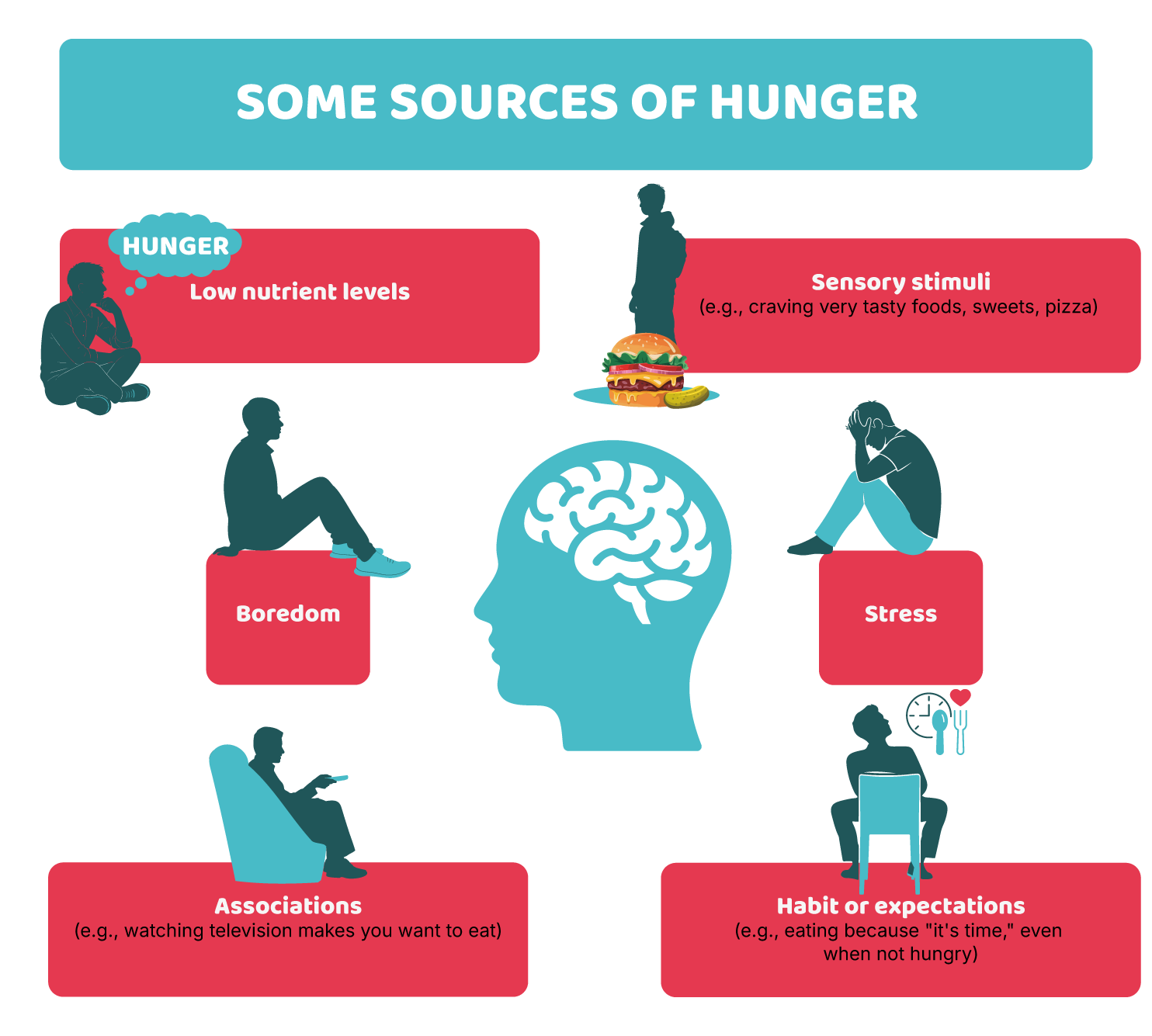 The brain needs nourishment too: attention, emotions and impulses