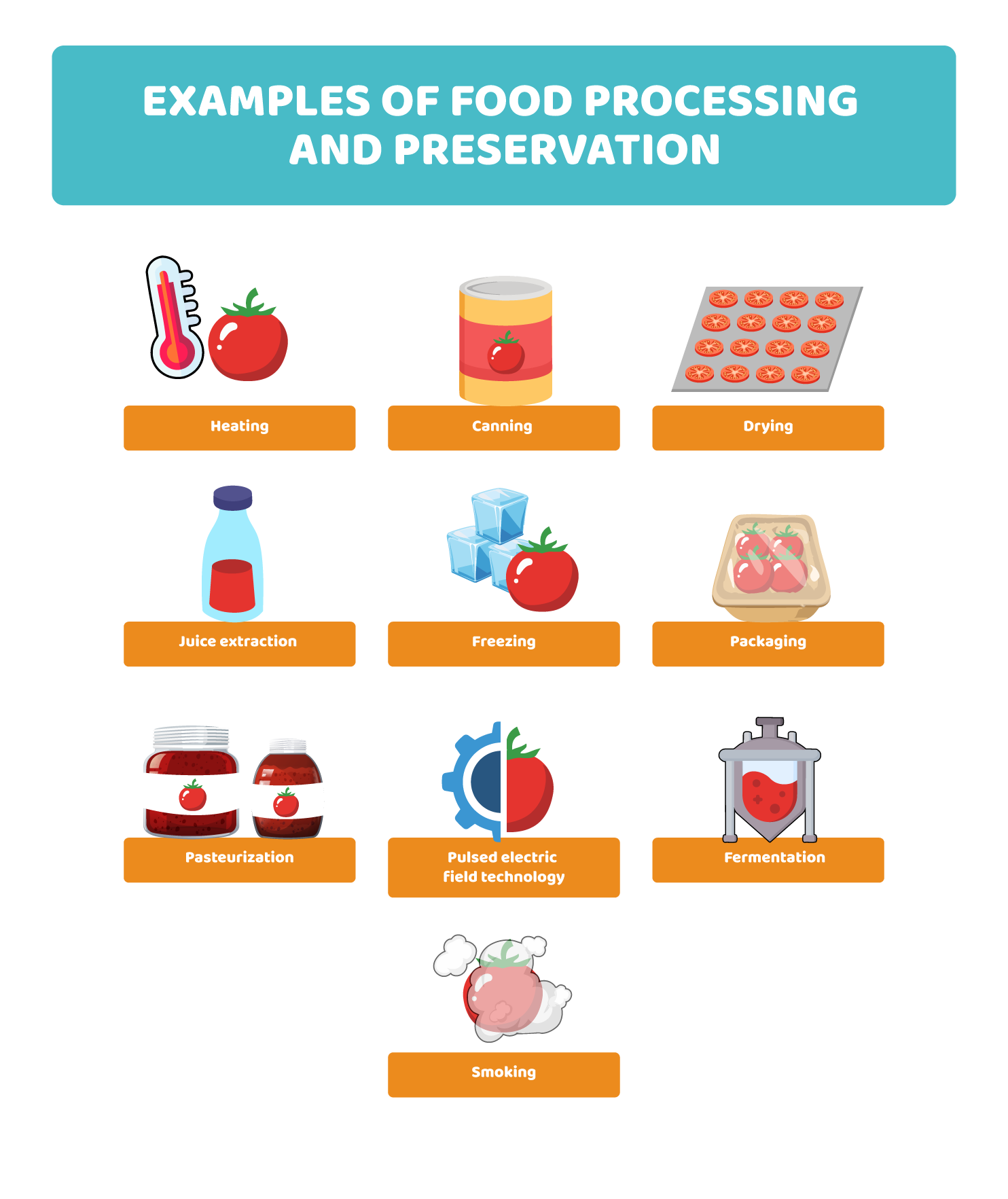 Transformation: when food changes form — and its impact