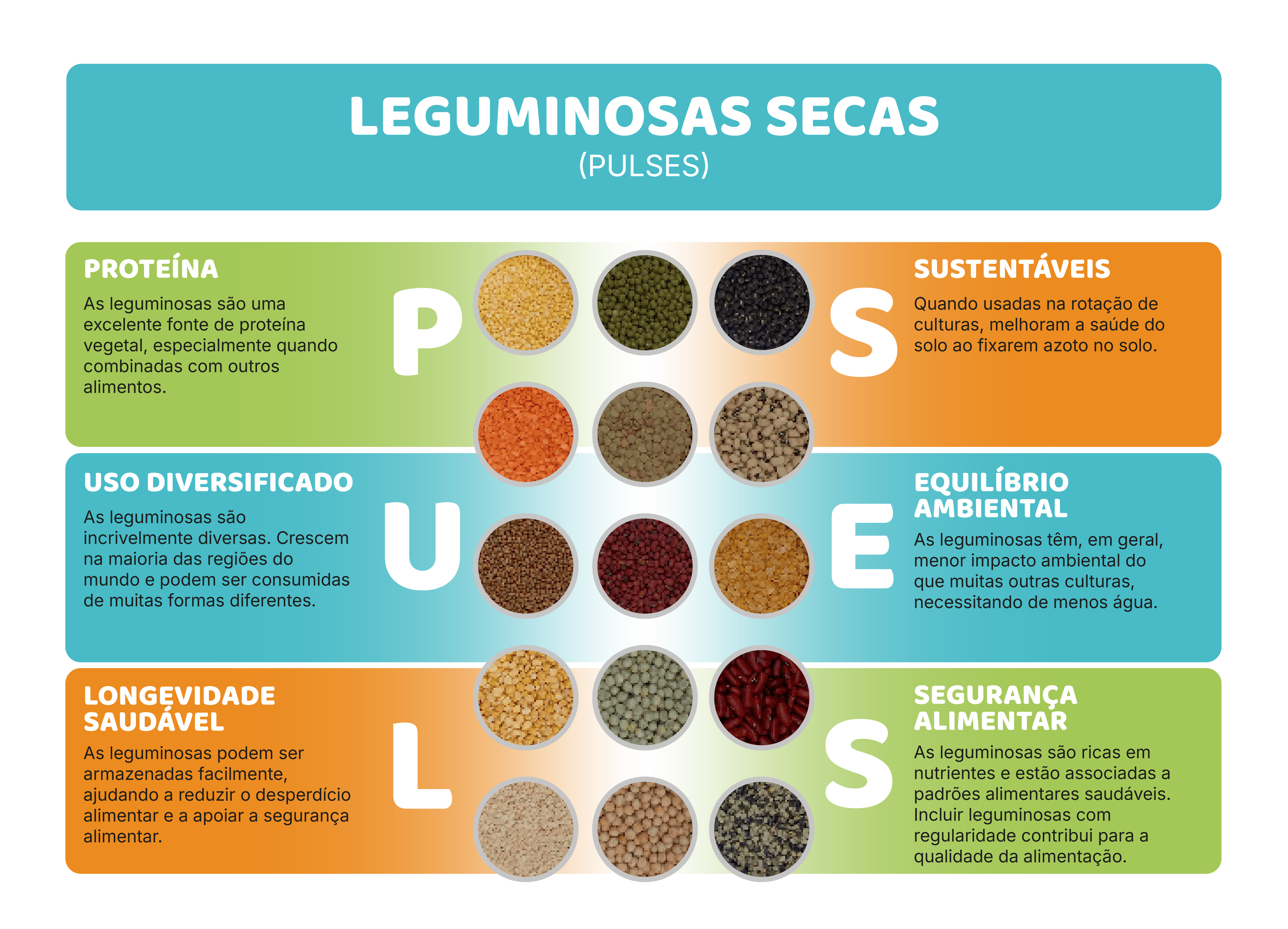 c) Leguminosas: proteína vegetal com impacto positivo