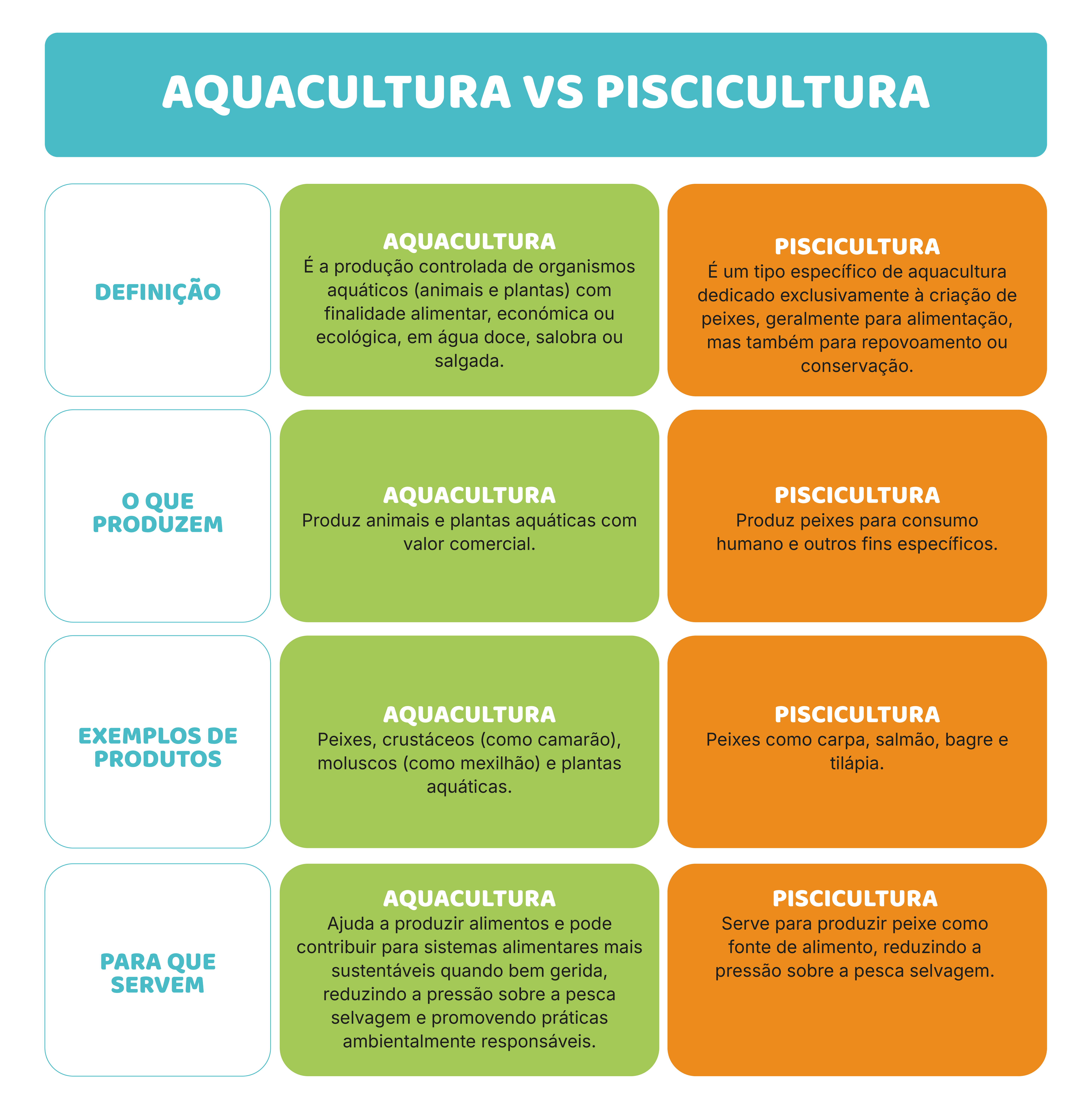 Moluscos e crustáceos